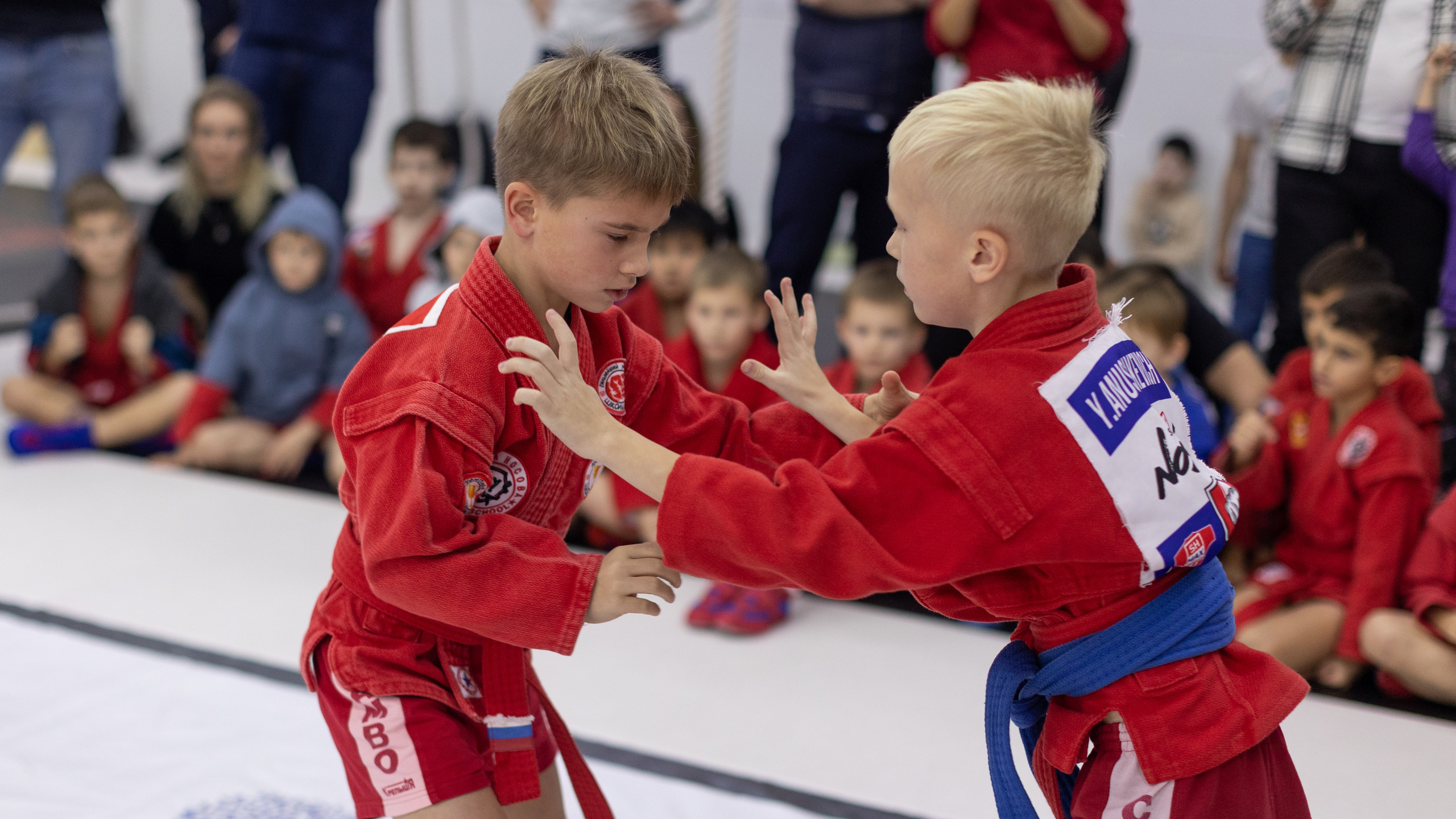 Внутренний чемпионат школы Носова