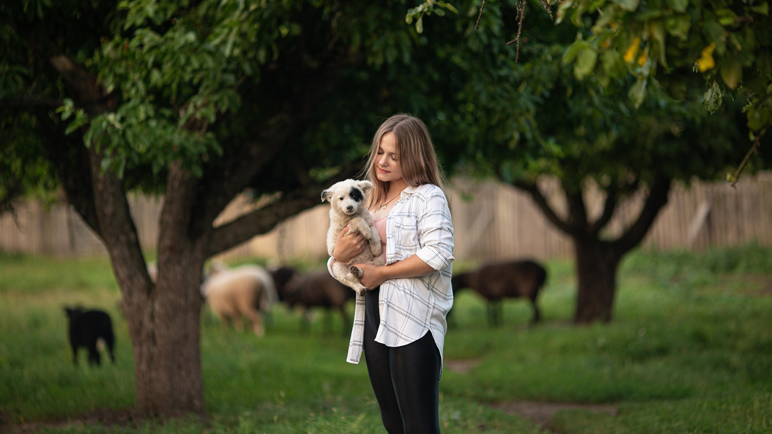 Даша на ферме