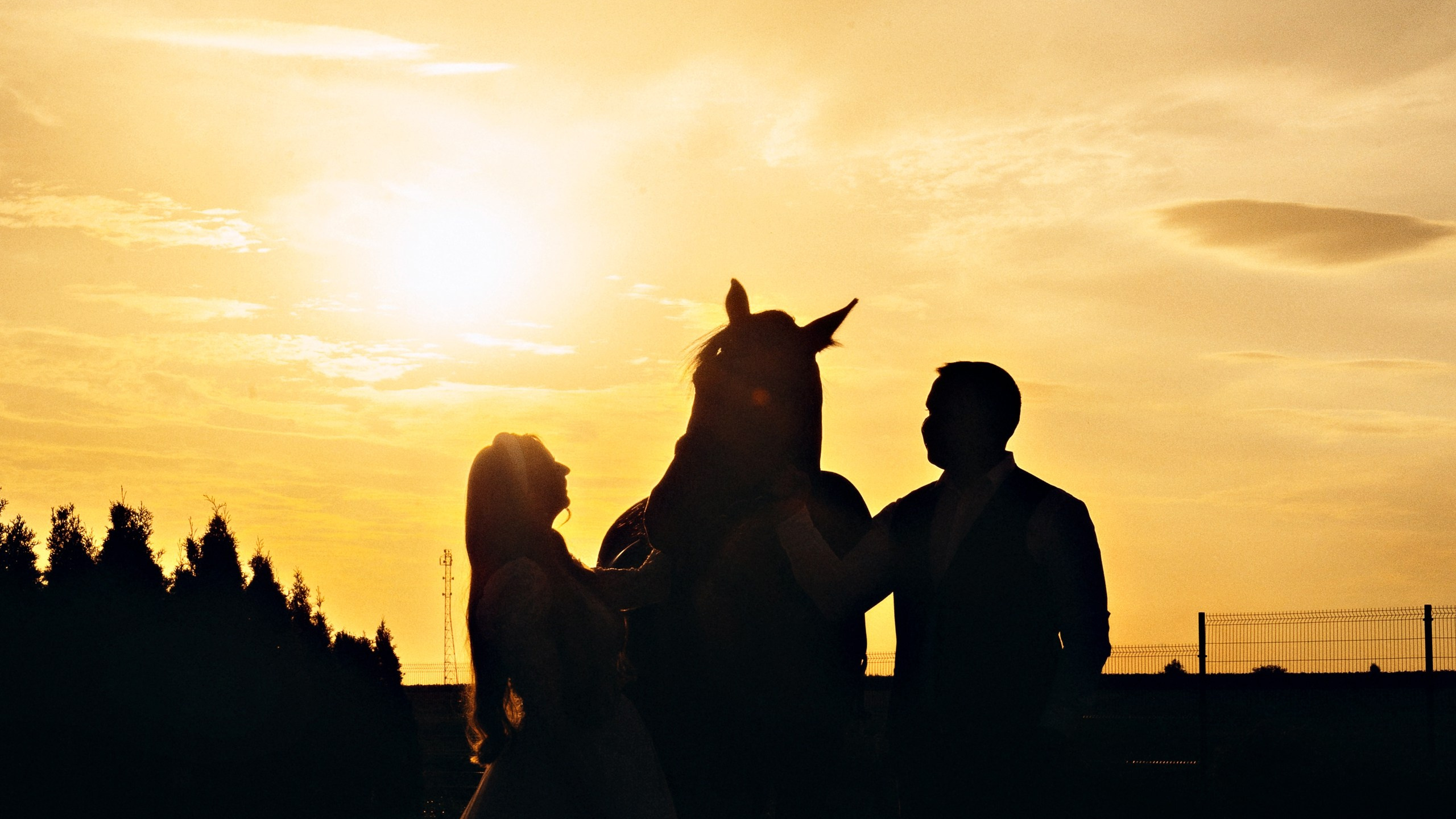 Свадьбы. Свадебный фотограф в Тамбове и области