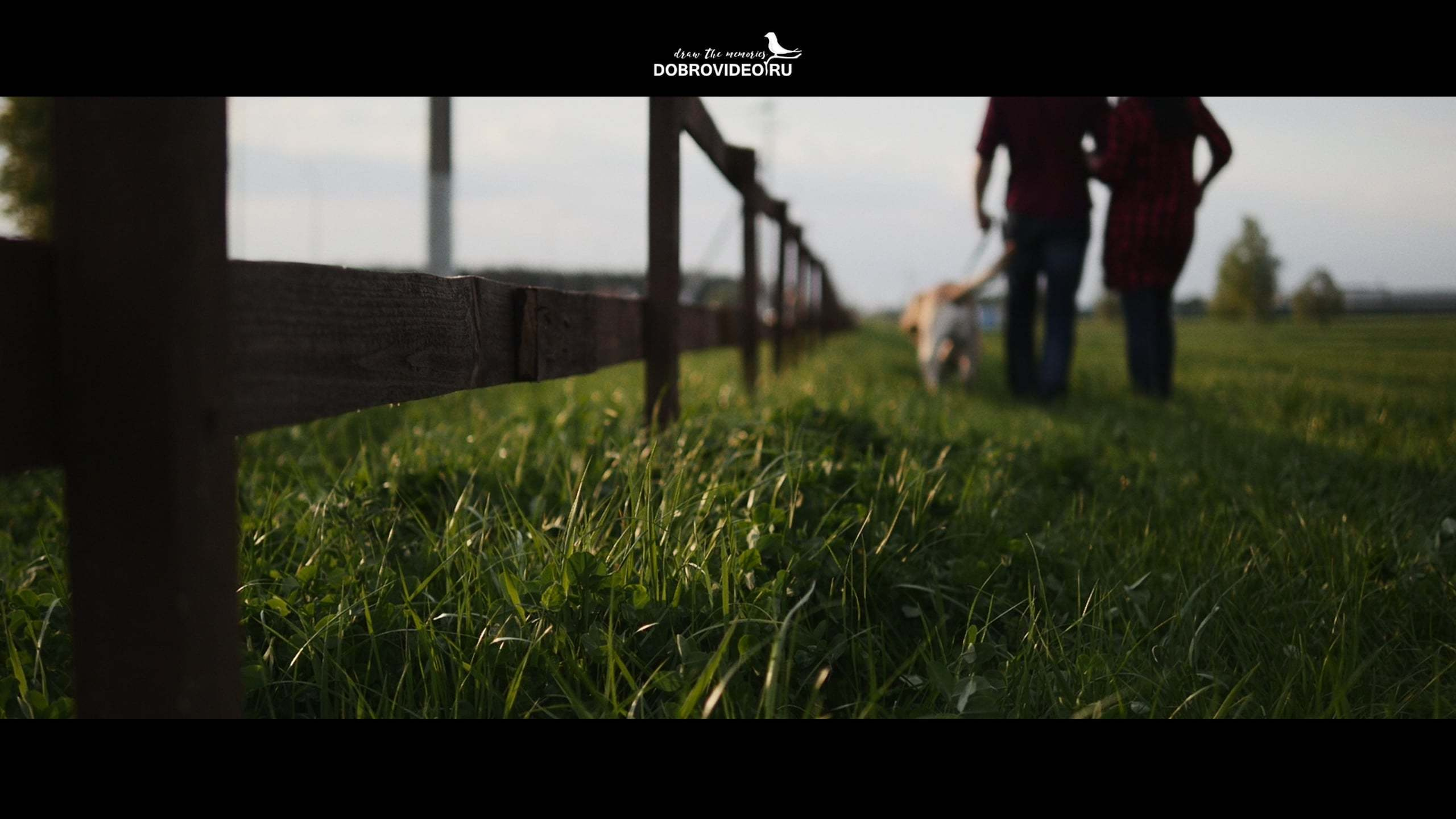 АЛЕКСЕЙ И ЕЛЕНА (семейное видео). Видеосъемка МОСКВА|репортаж, клипы, документальное, видео для бизнеса!