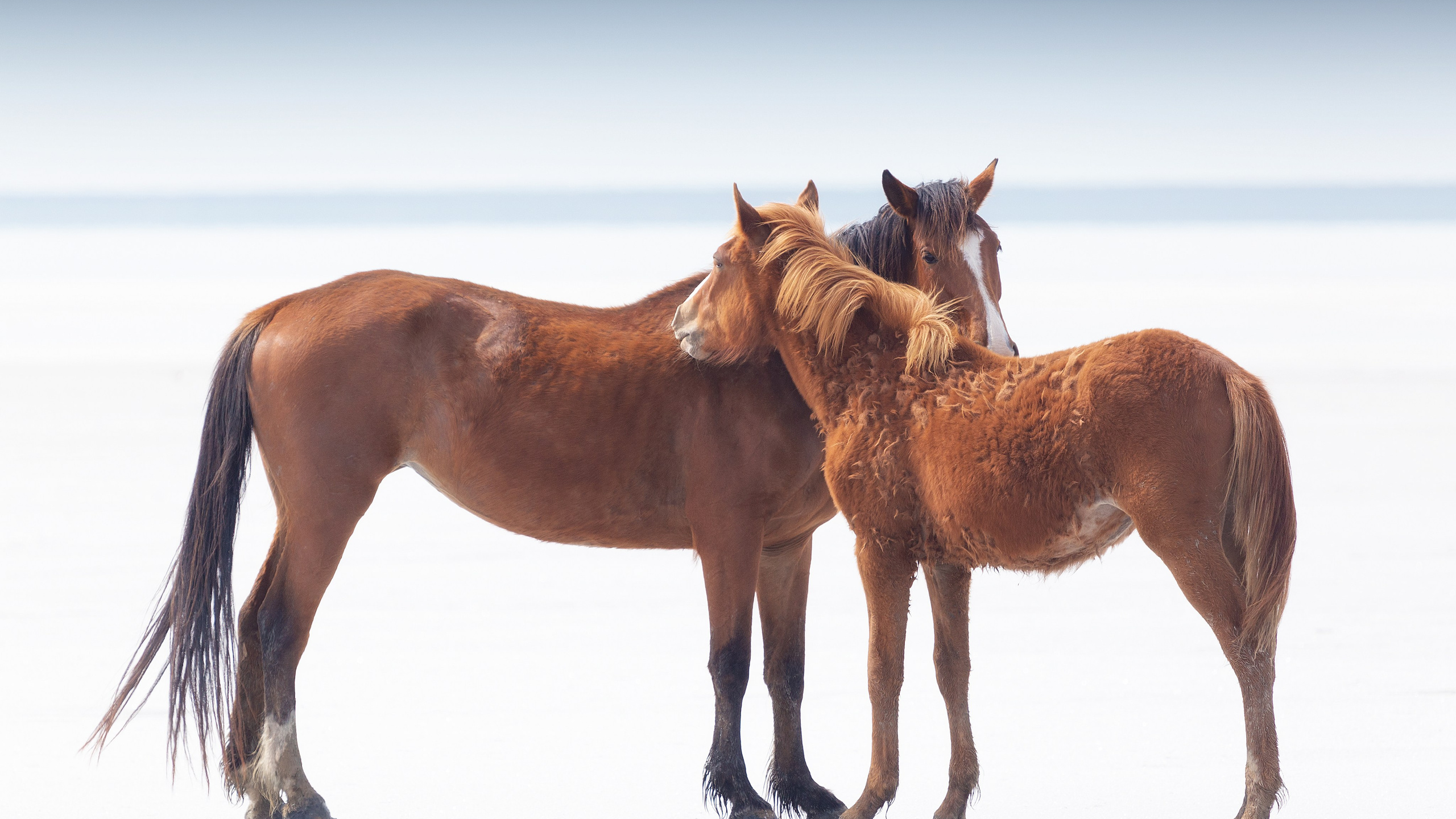 Фототур на озёра Эльтон и Баскунчак. Пейзажный & Timelapse фотограф Роман Любимский