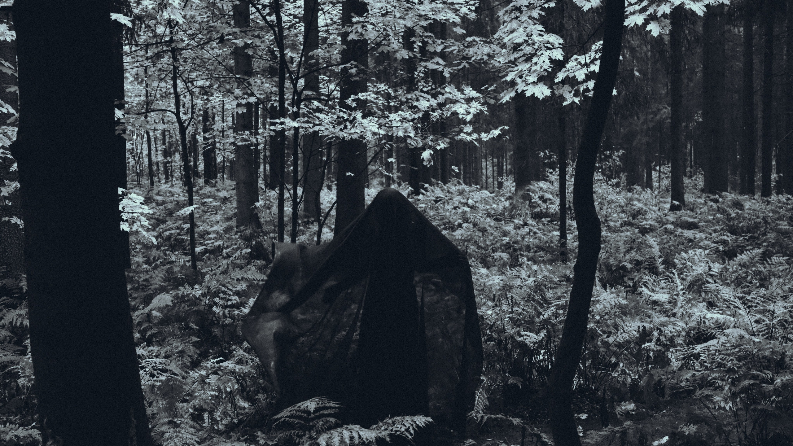 Вдохновление утренним туманом