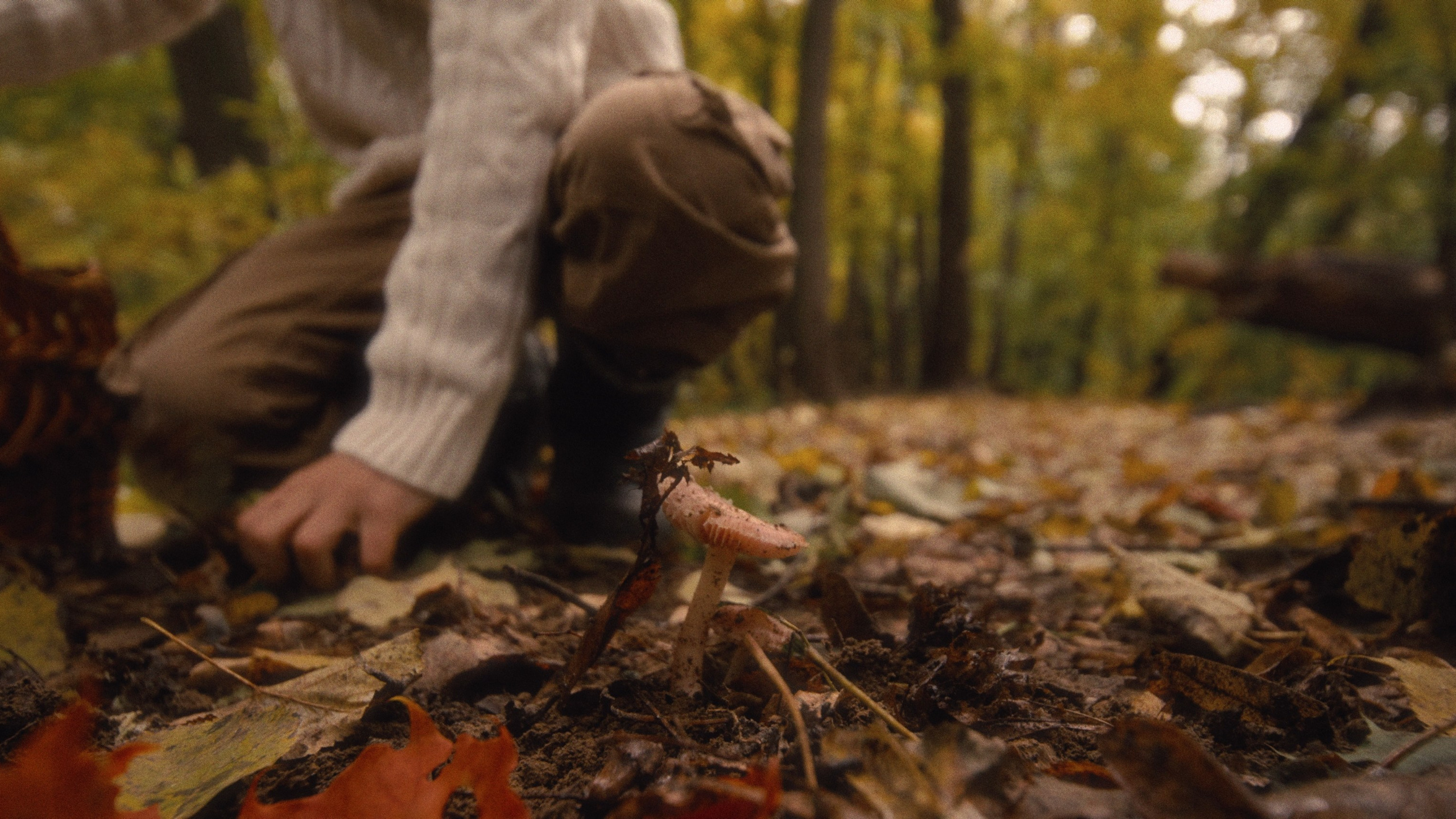 «ПРОСТИТУТКИ» — short film