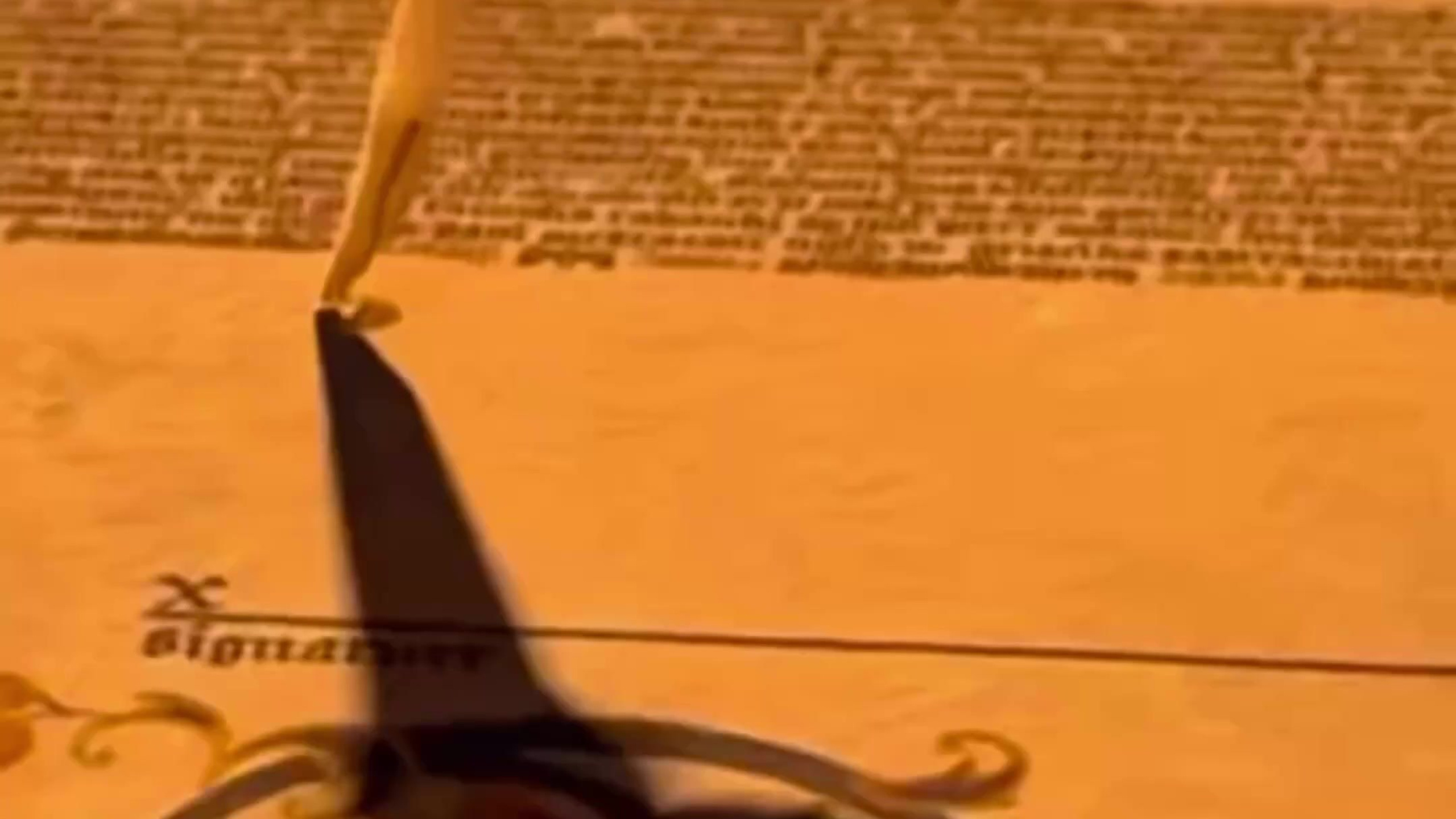 Vlad & Dasha. Свадебный рилсмейкер в Москве