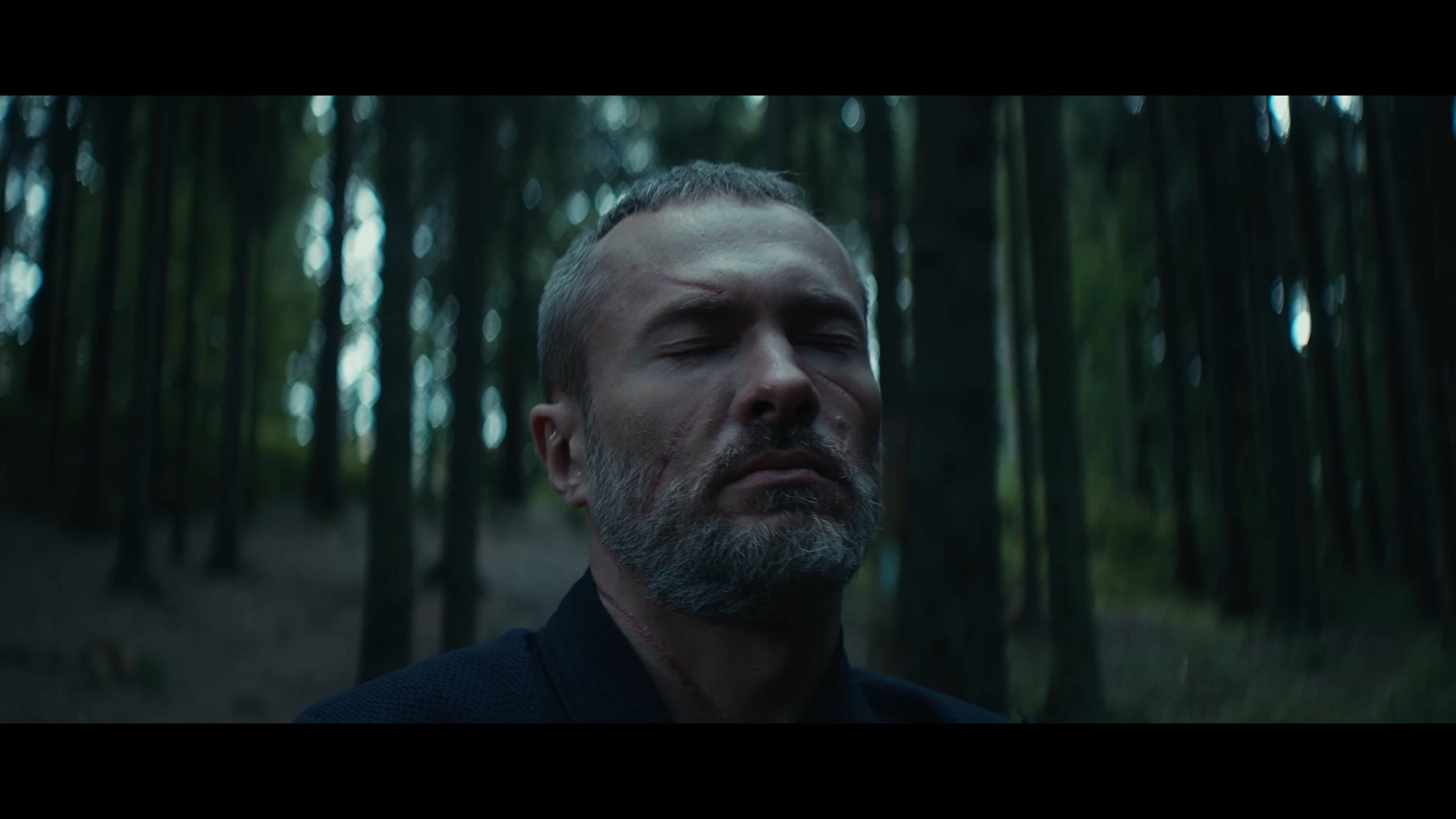 Works. Оператор-постановщик рекламы и музыкальных клипов