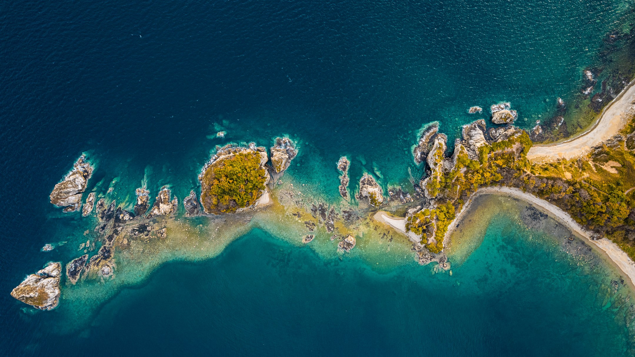 Бухта Льва | Мыс Сосновый