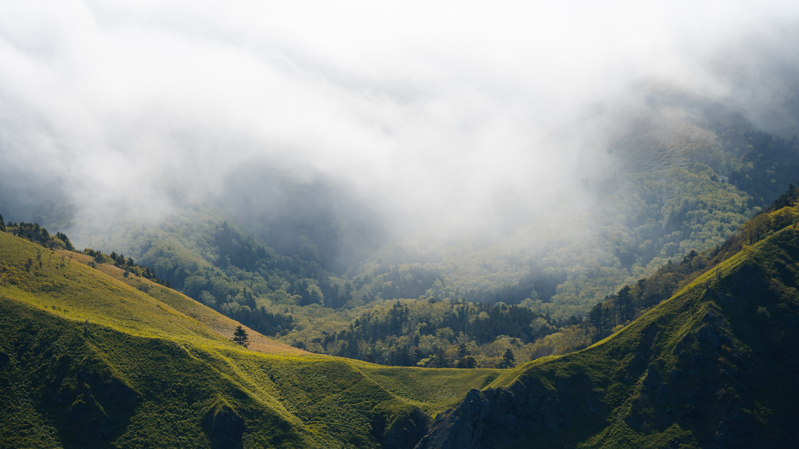 游览阿尼瓦灯塔