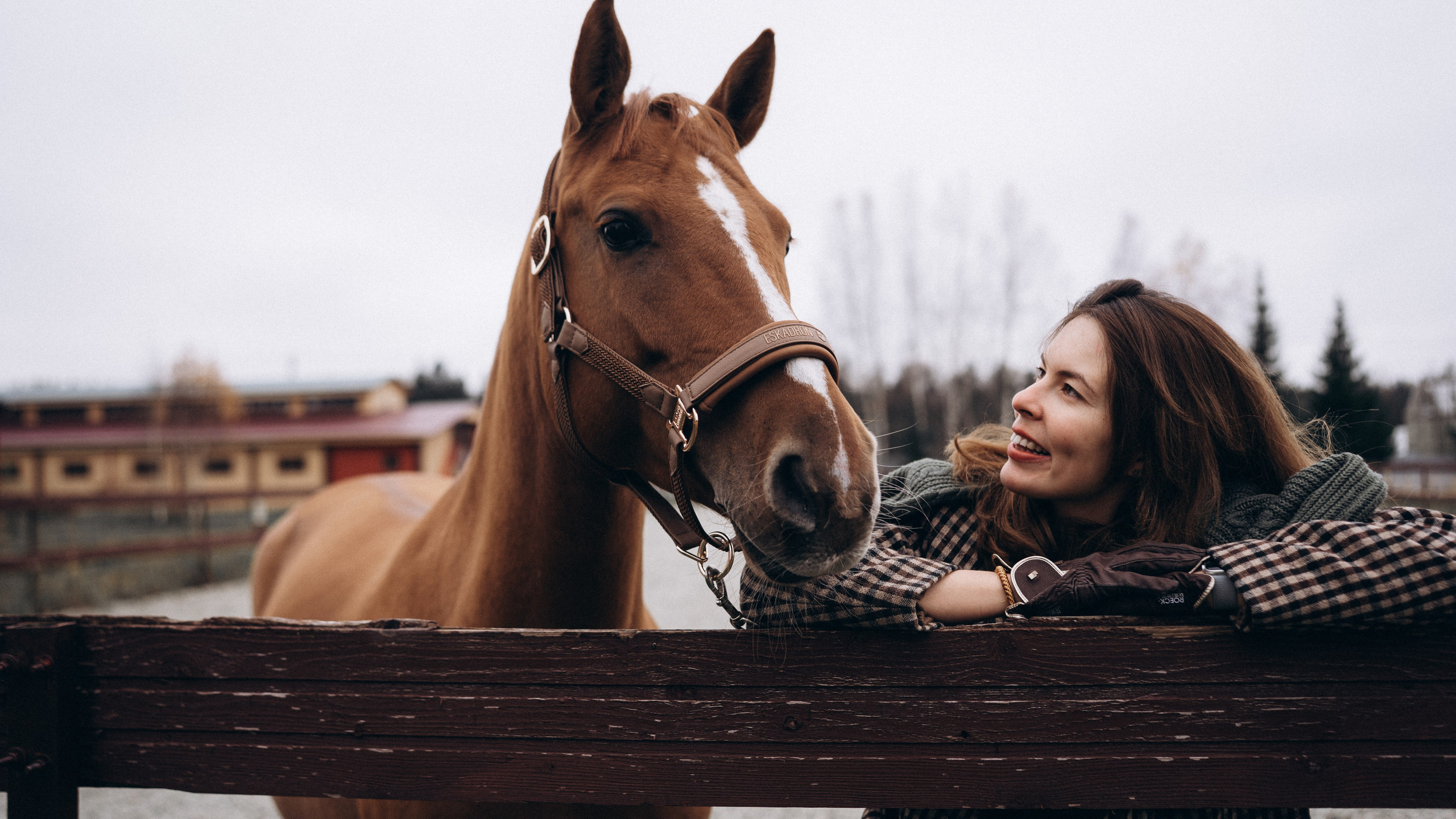 Фотосессия с лошадьми