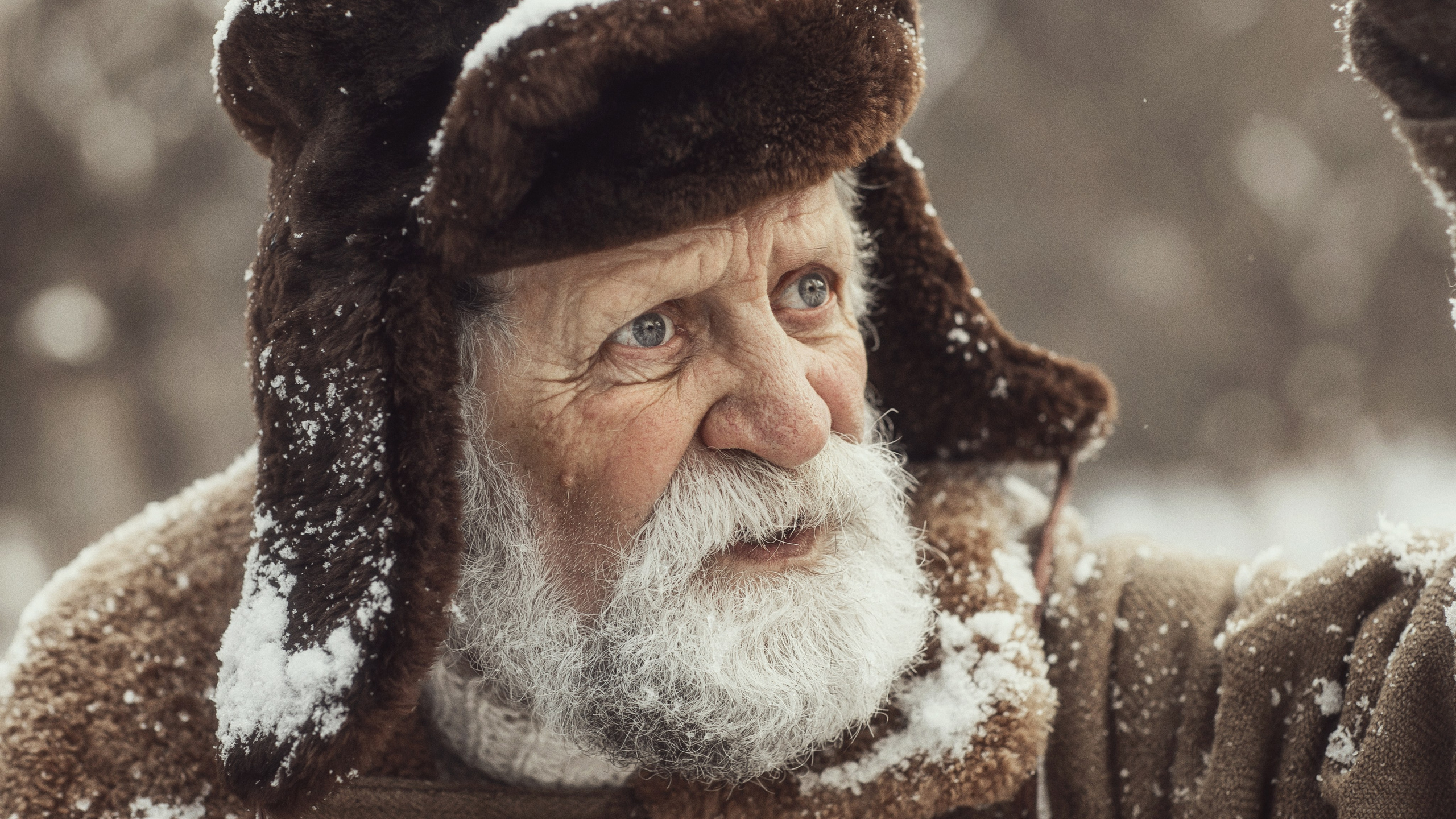 Старый двор