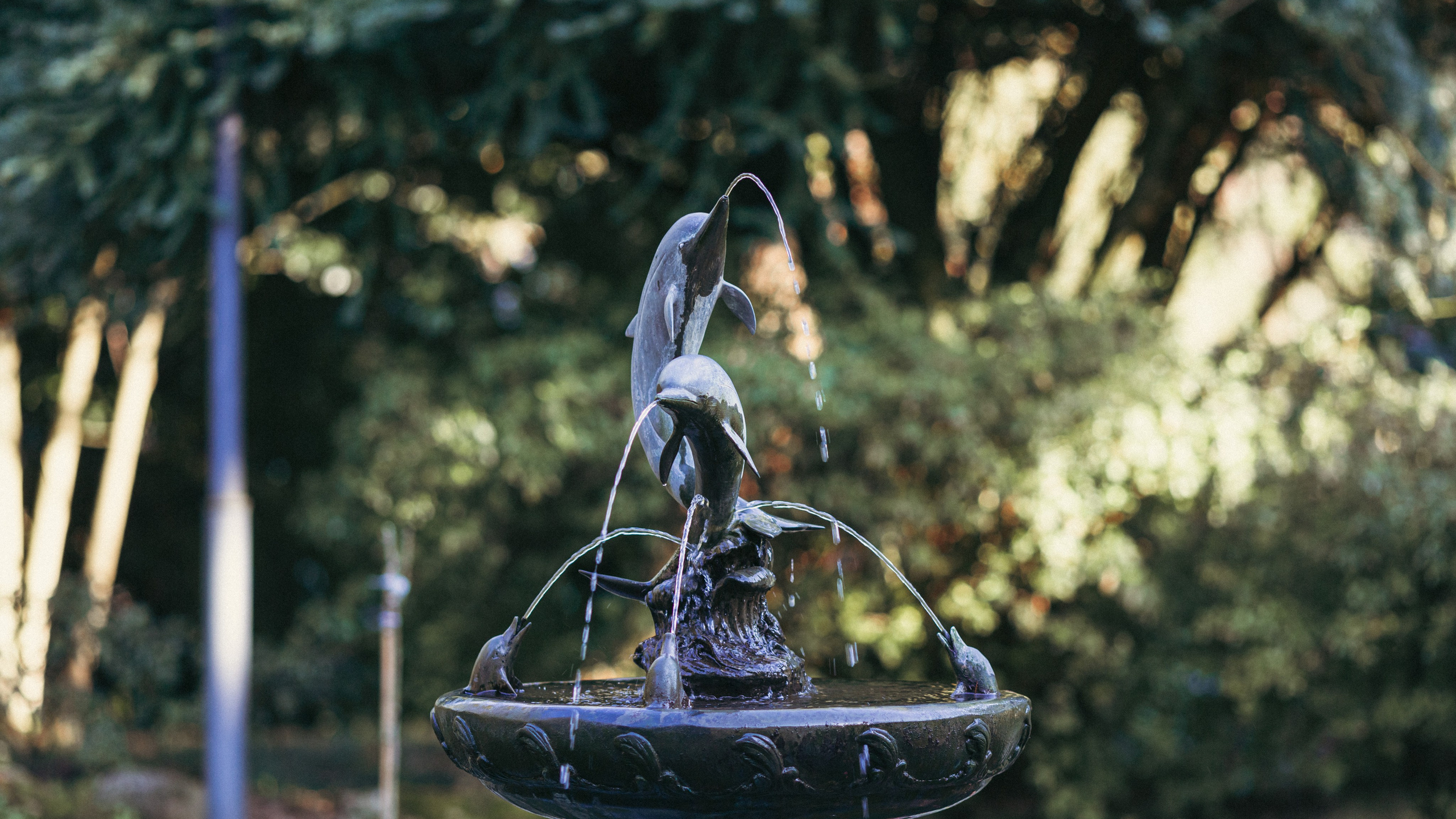 Ботанический сад