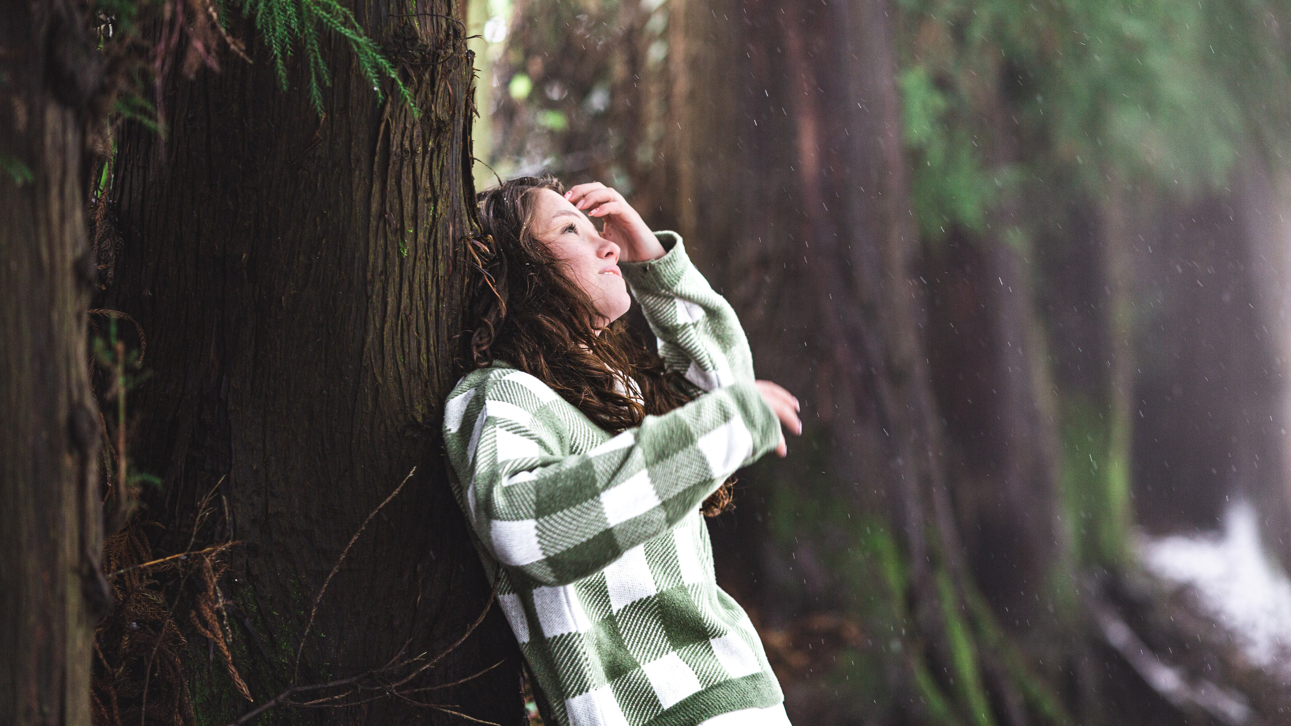 Без названия