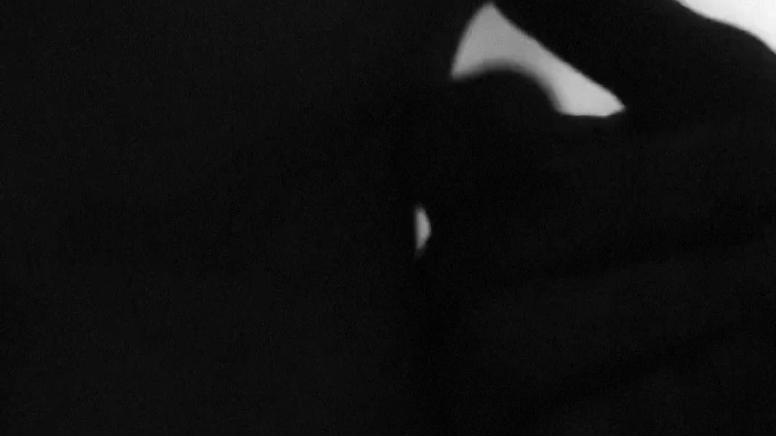 Видео. ФОТОГРАФ ЭРОТИКА СПБ|НЮ|PLAYBOY