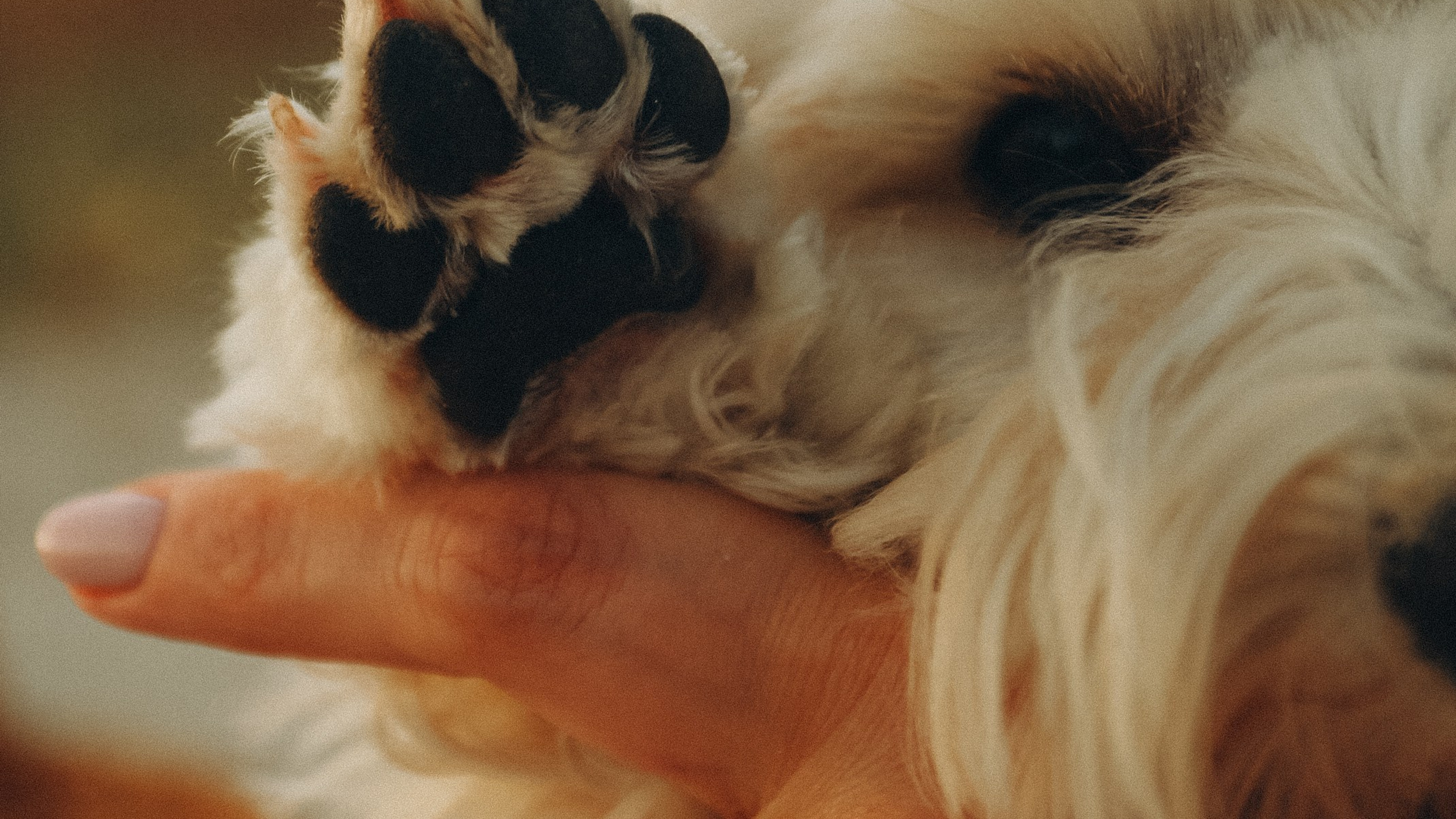 Пикник мамы Жени, Артема и Ксюши