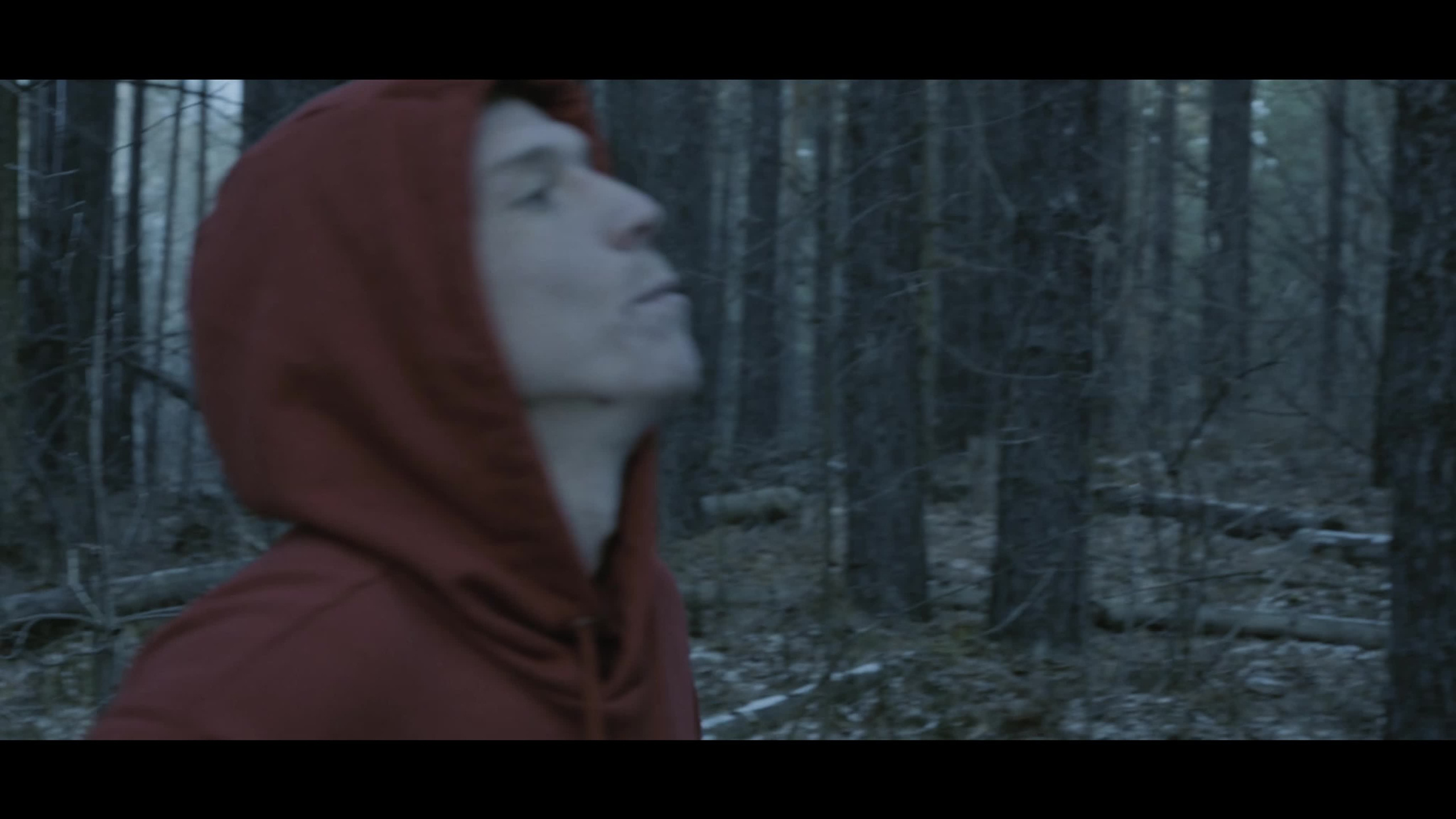 Музыкальные клипы, Love story, рекламное видео. Фото-видеосъемка в Елабуге Дмитрий Малюгин