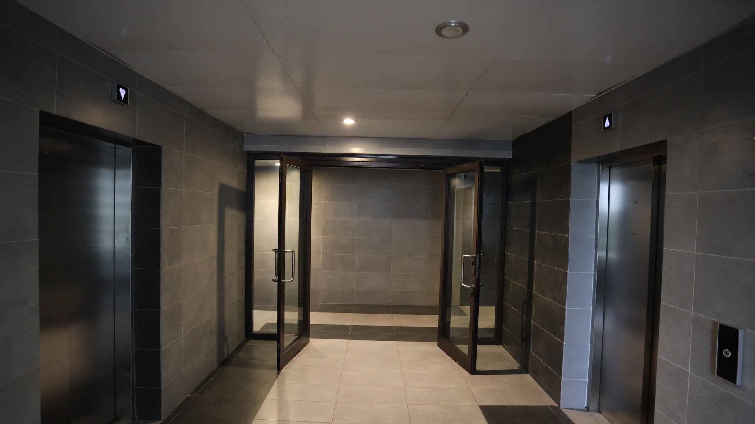 Видео. Photomantis