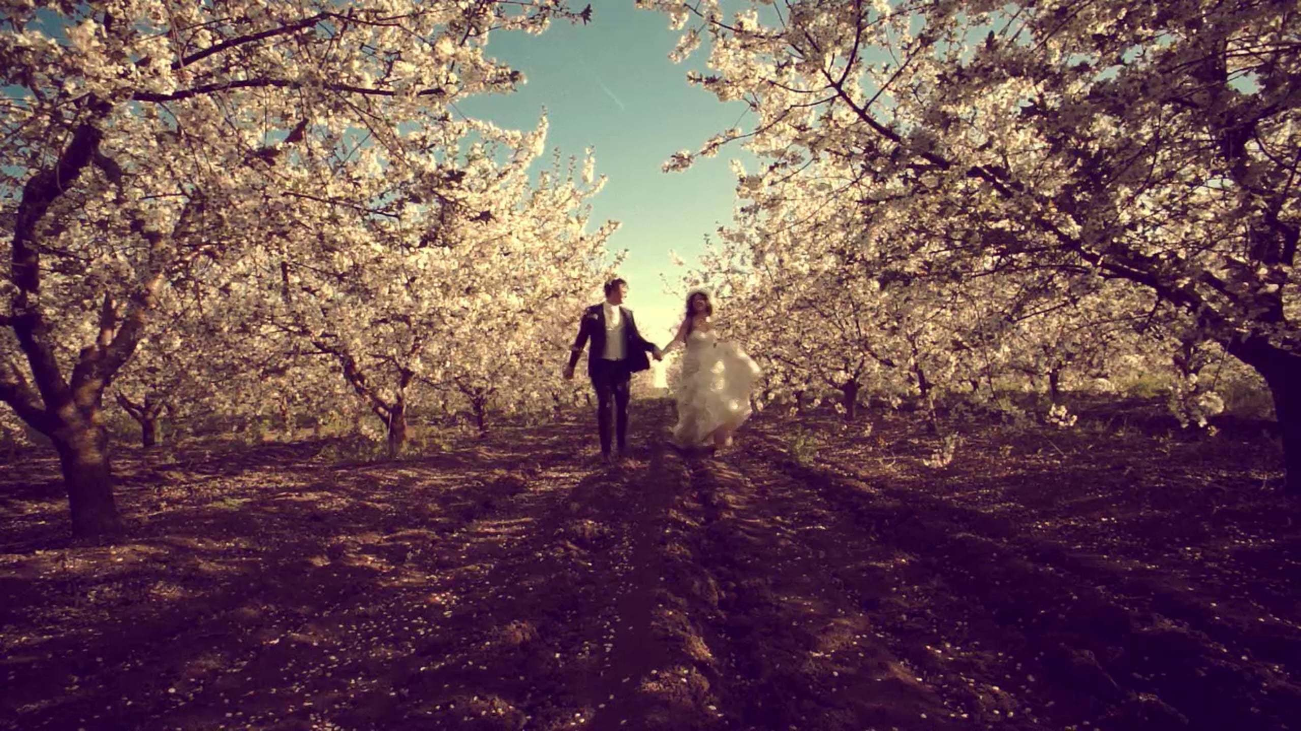 Wedding&LoveStory. Max Matvich and Victoria Basova are professionals in their field