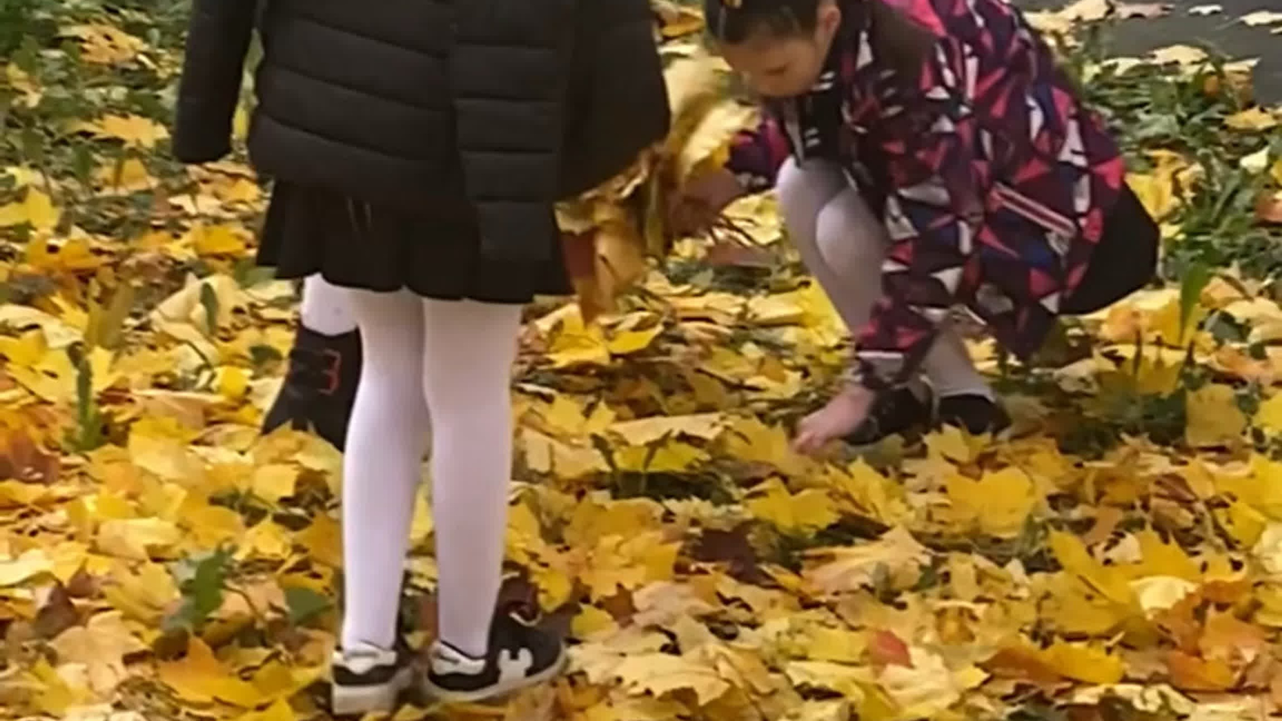 Начальная школа. Выпускные альбомы для школы и детского сада в СПб и ЛО