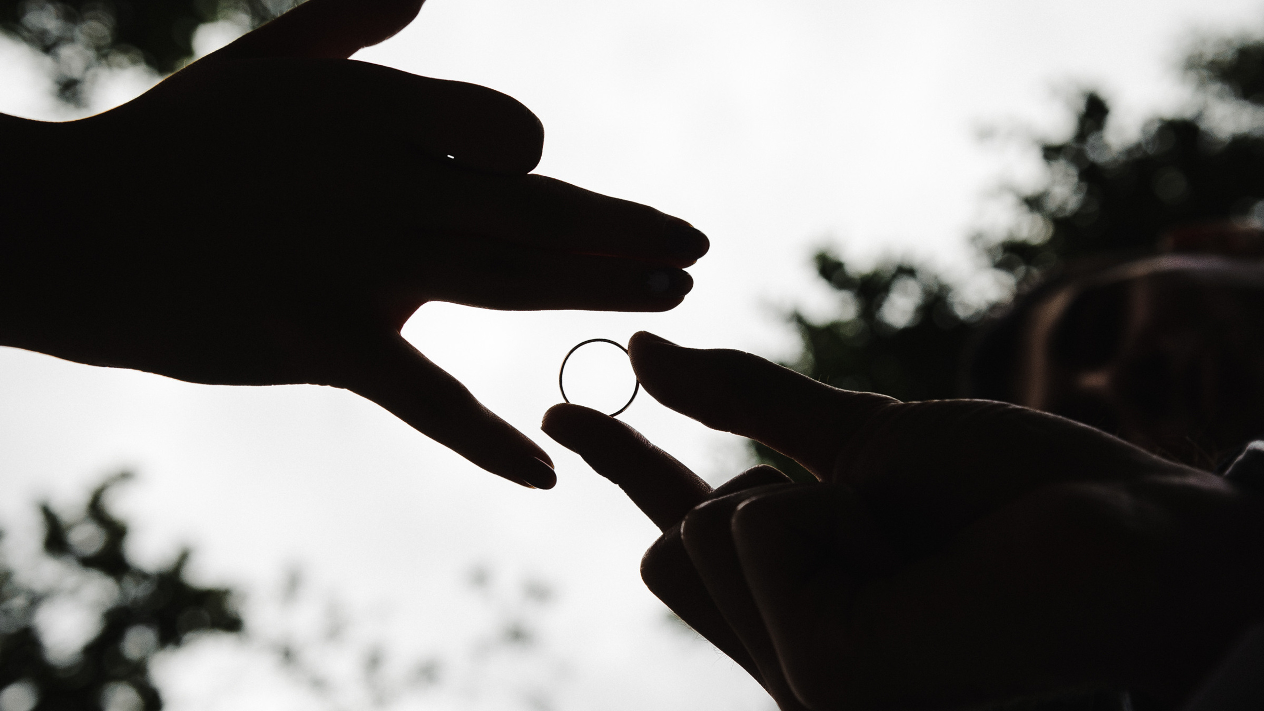 Андрей и Дания