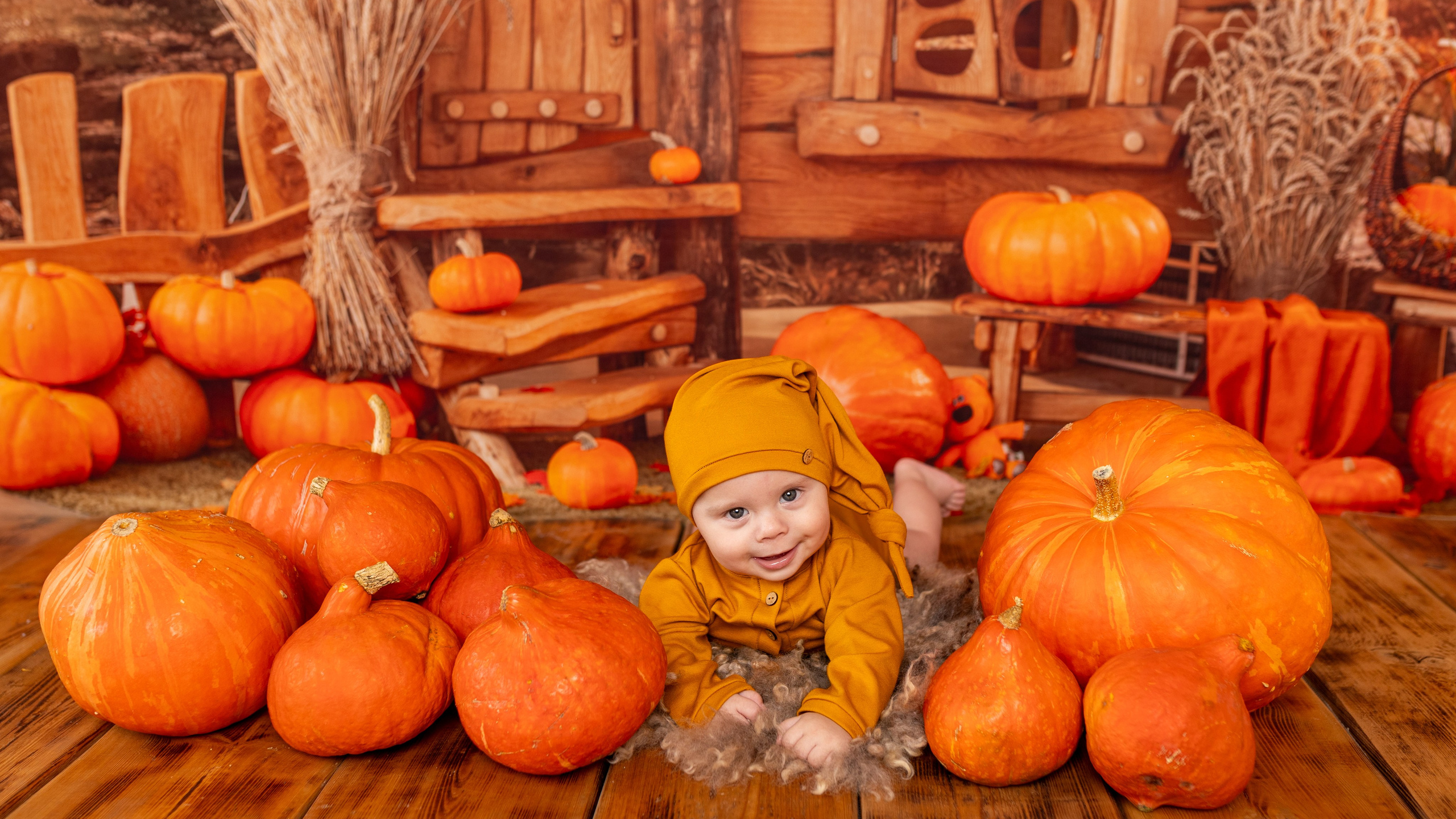 Тыквенно-арбузные фотодни