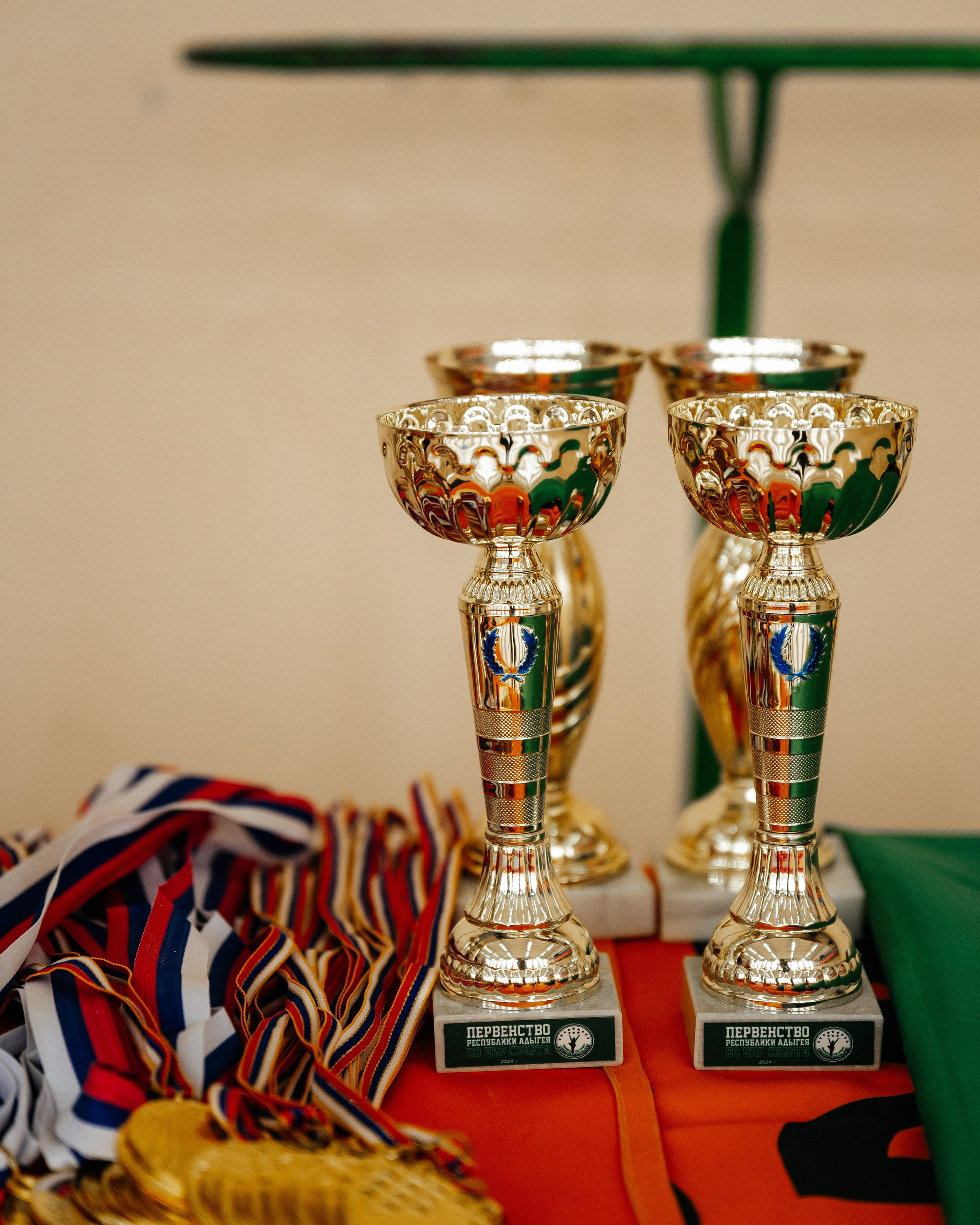 Первенство РА по Чир спорту - 2024 г.