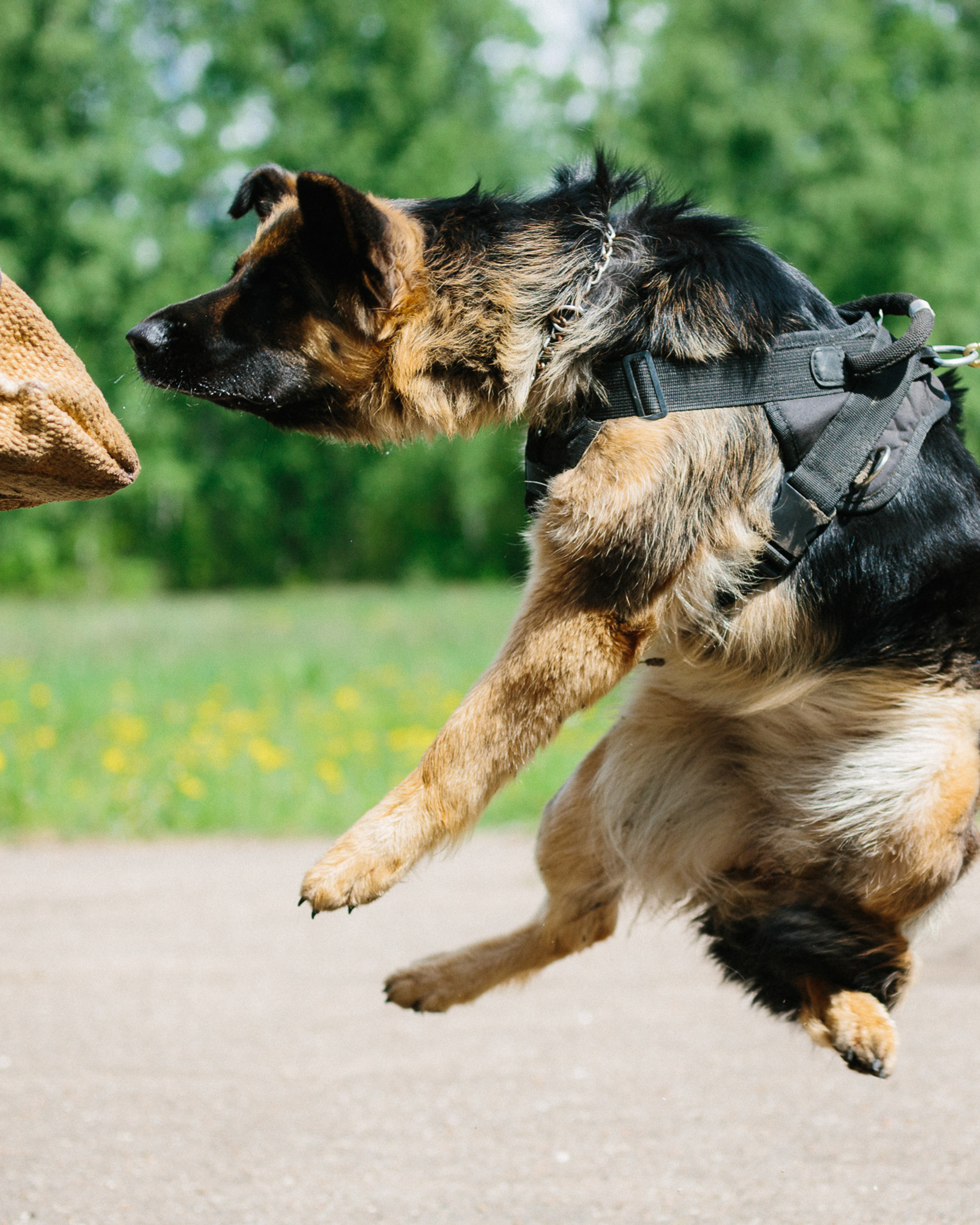 Тренировка ЗКС клуба «РжевГард»