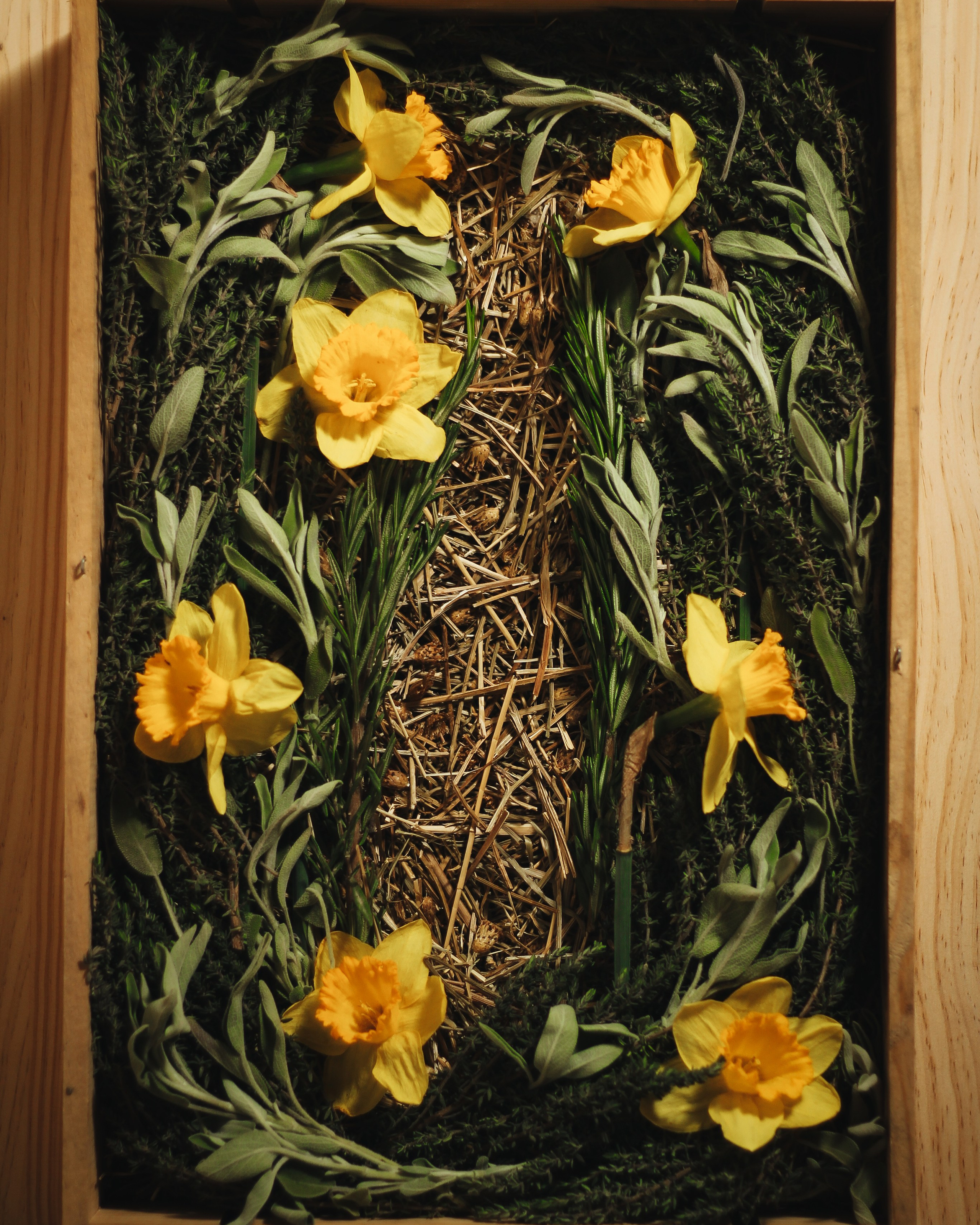 Мой сет-дизайн