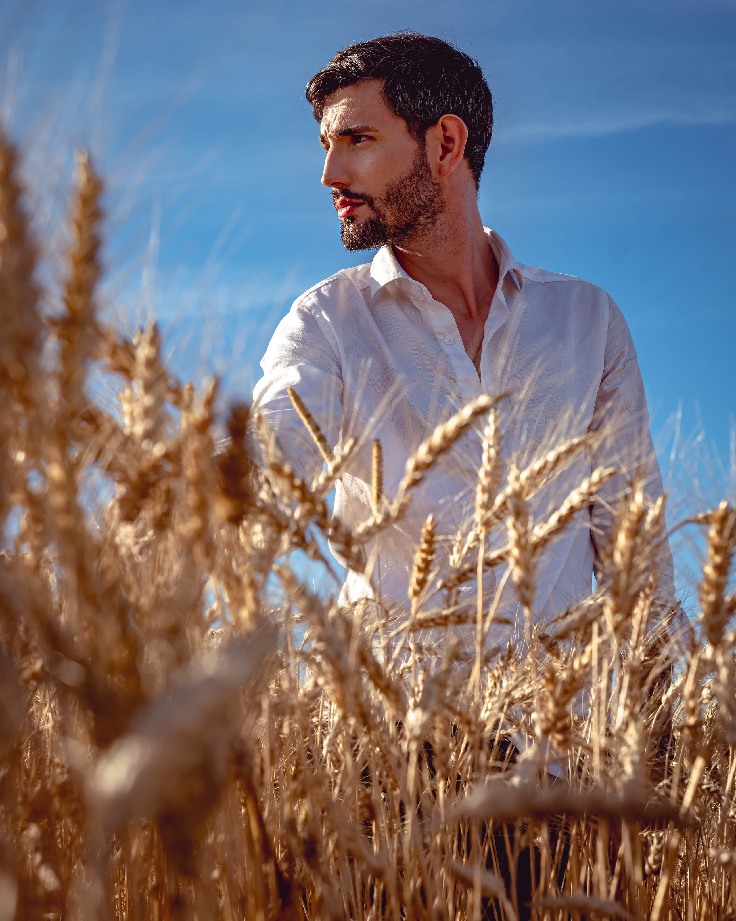 Иван в поле