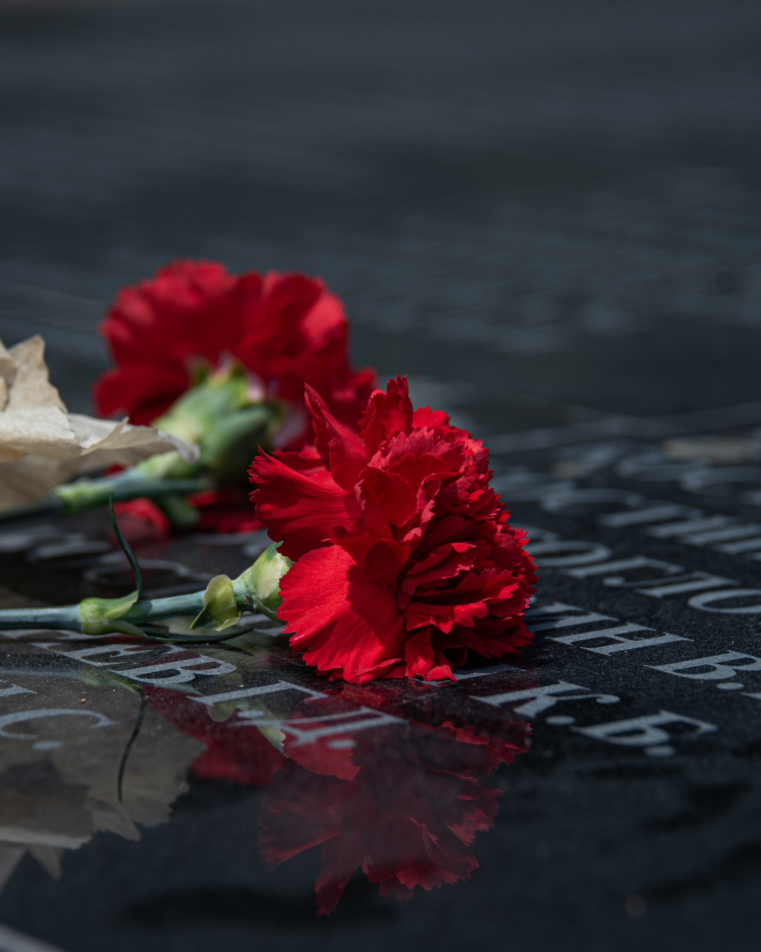 Татьяна и Вео 9 мая — Находка 2026 год