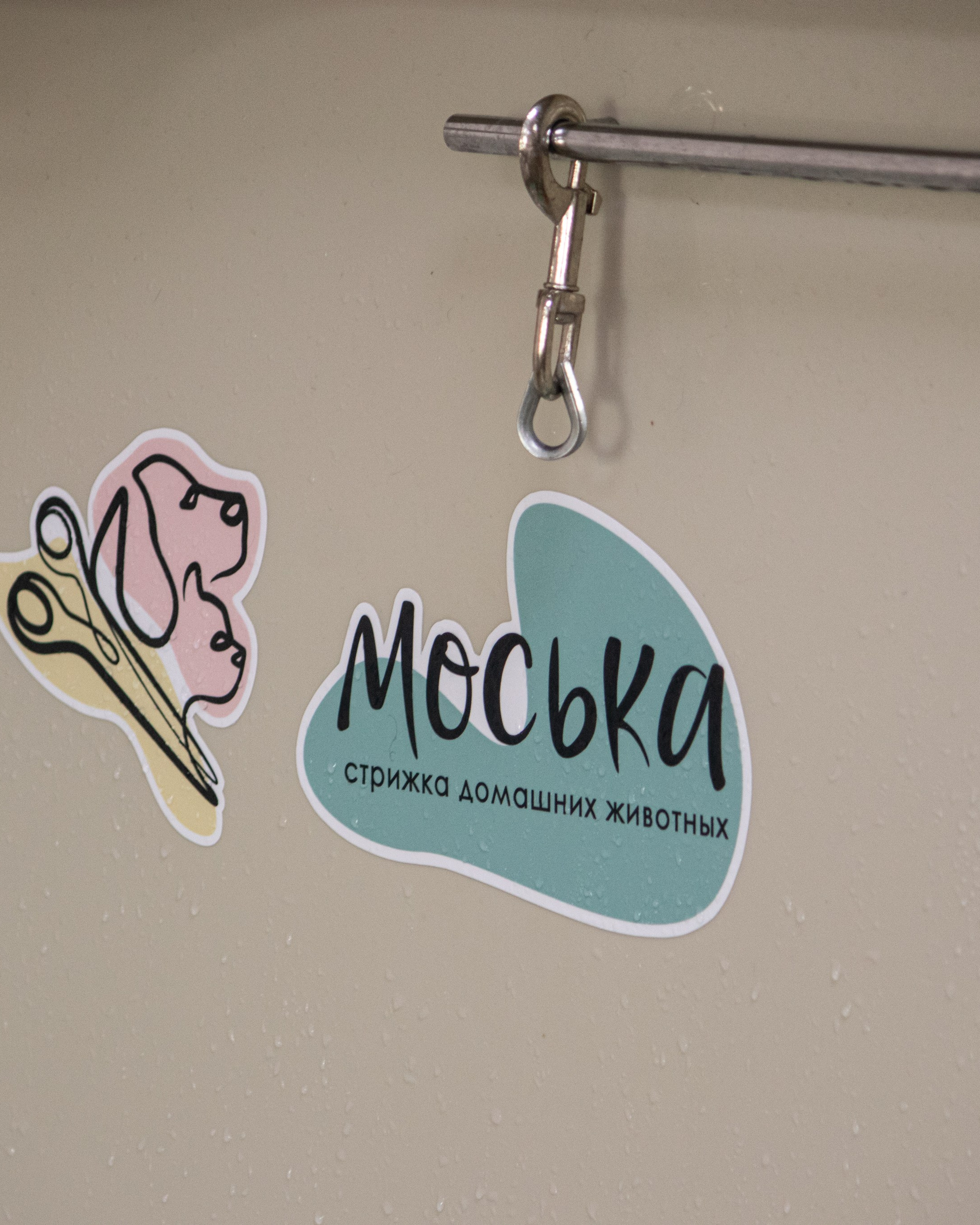 MOS`KA groom | Стрижки кошек и собак | НН