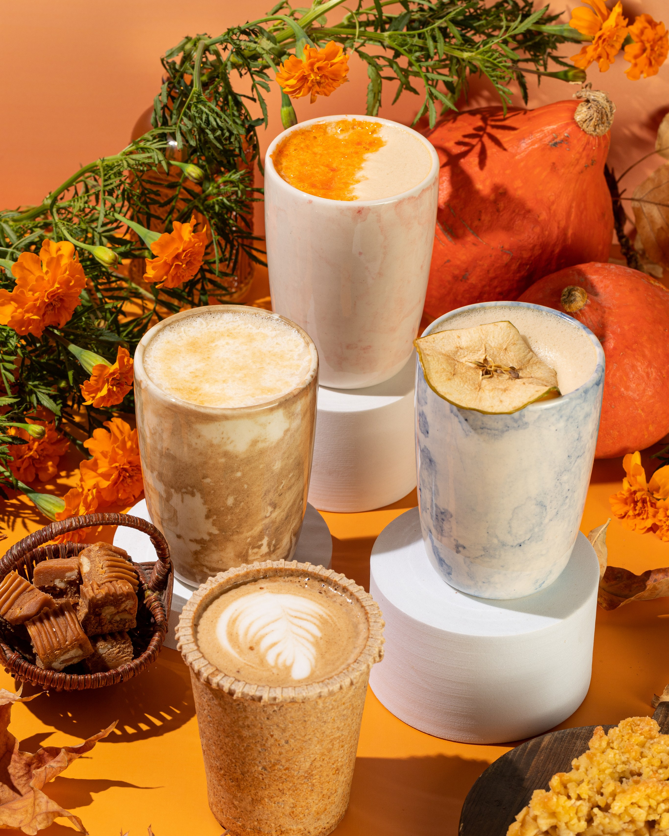 Кофейня «Чайка» Осень 24