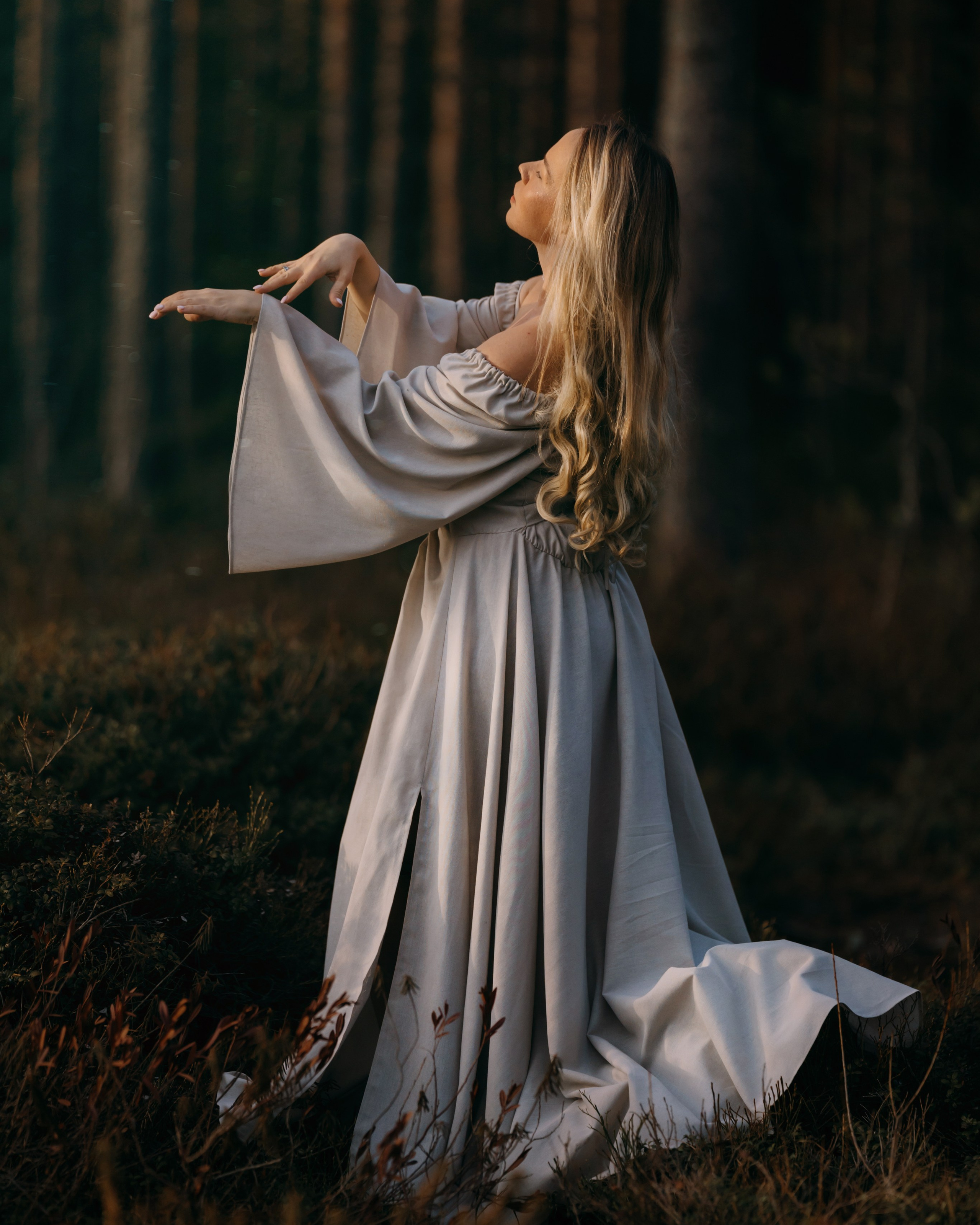 В карельском лесу