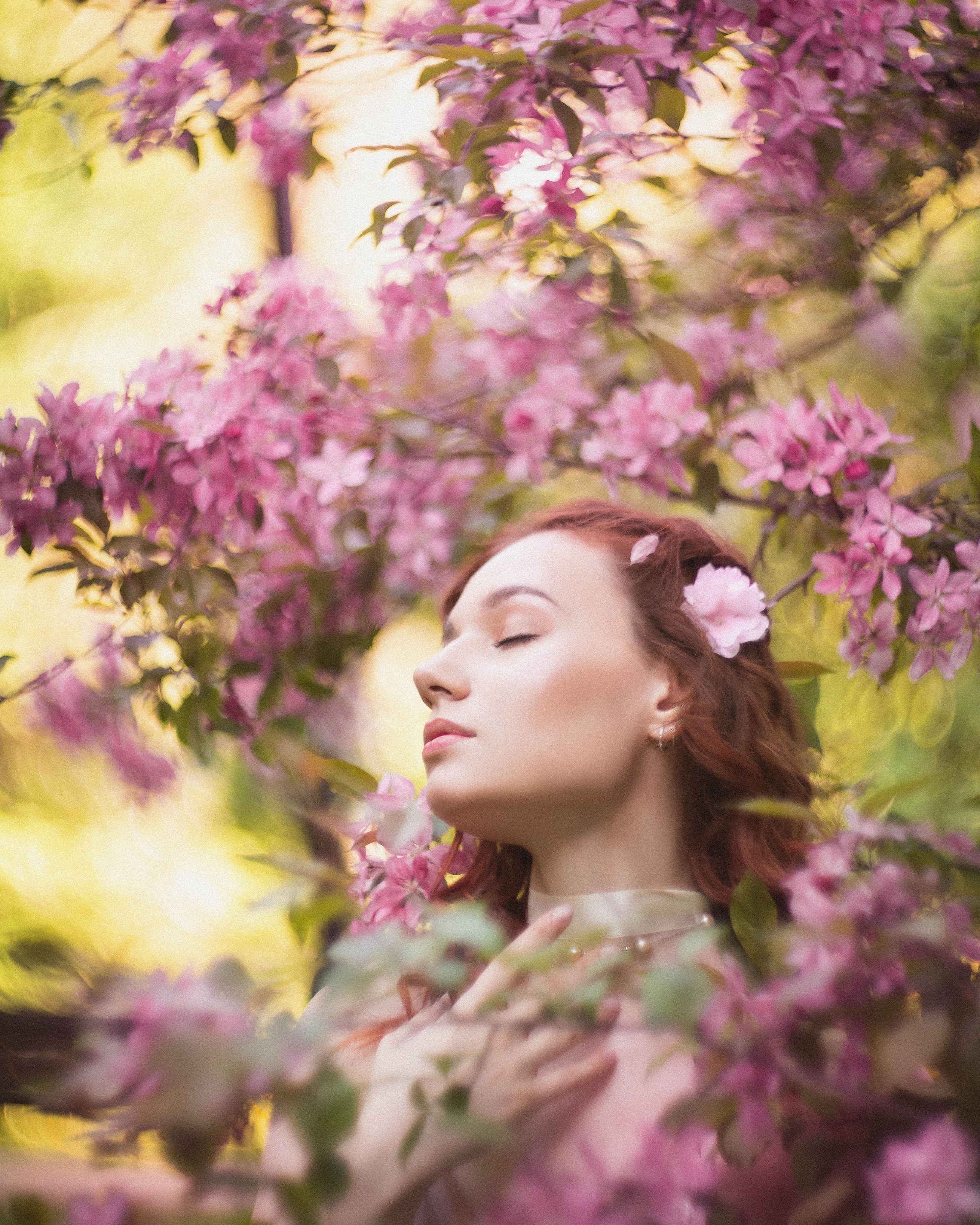 Розовое цветение