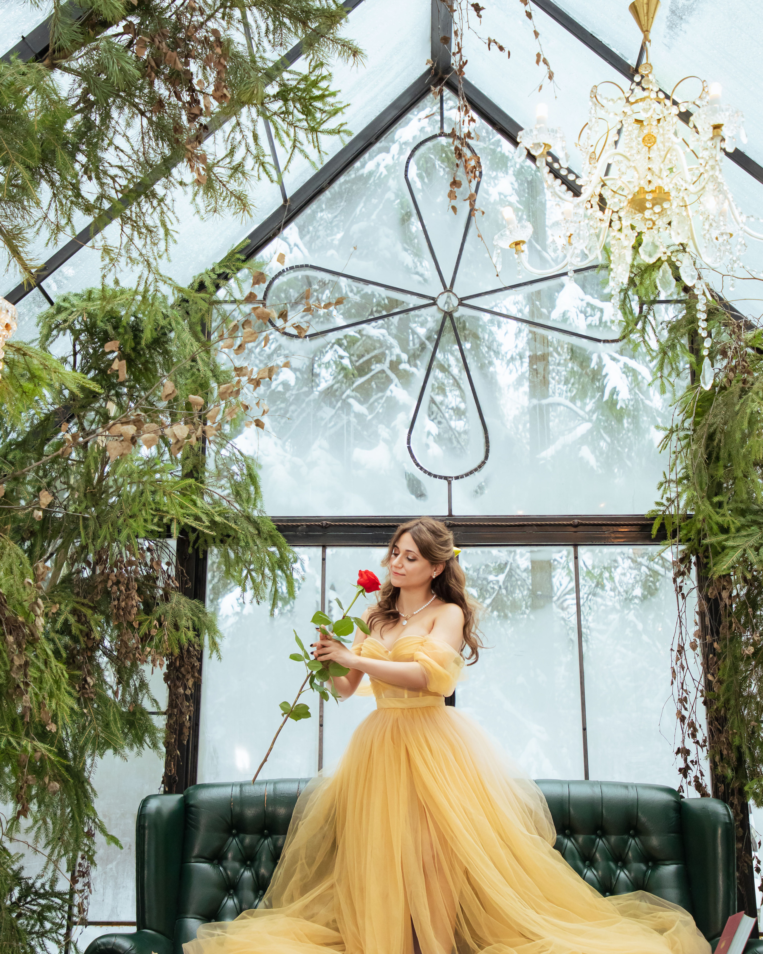 Белль из «Красавица и чудовище»