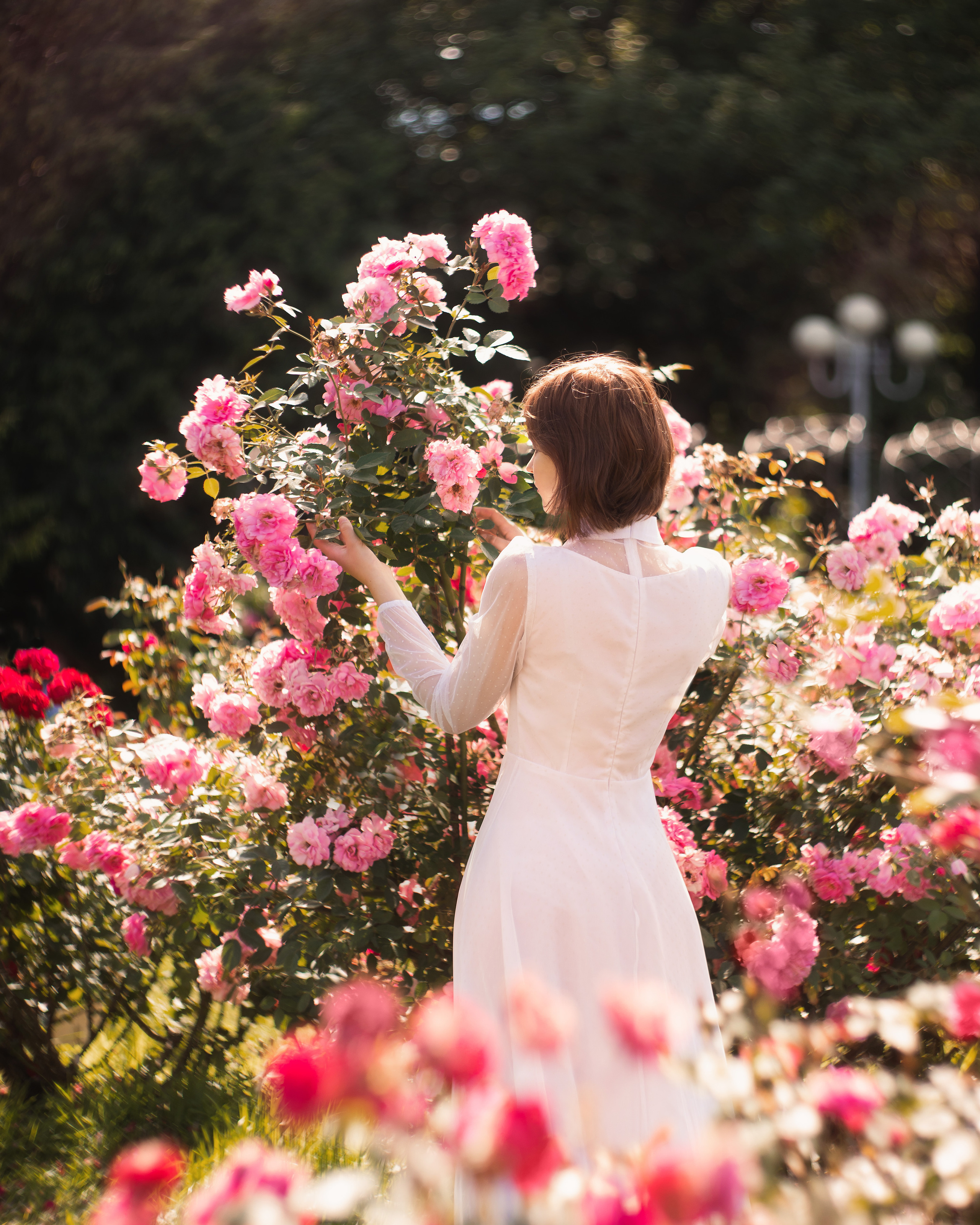 Летом в розарии