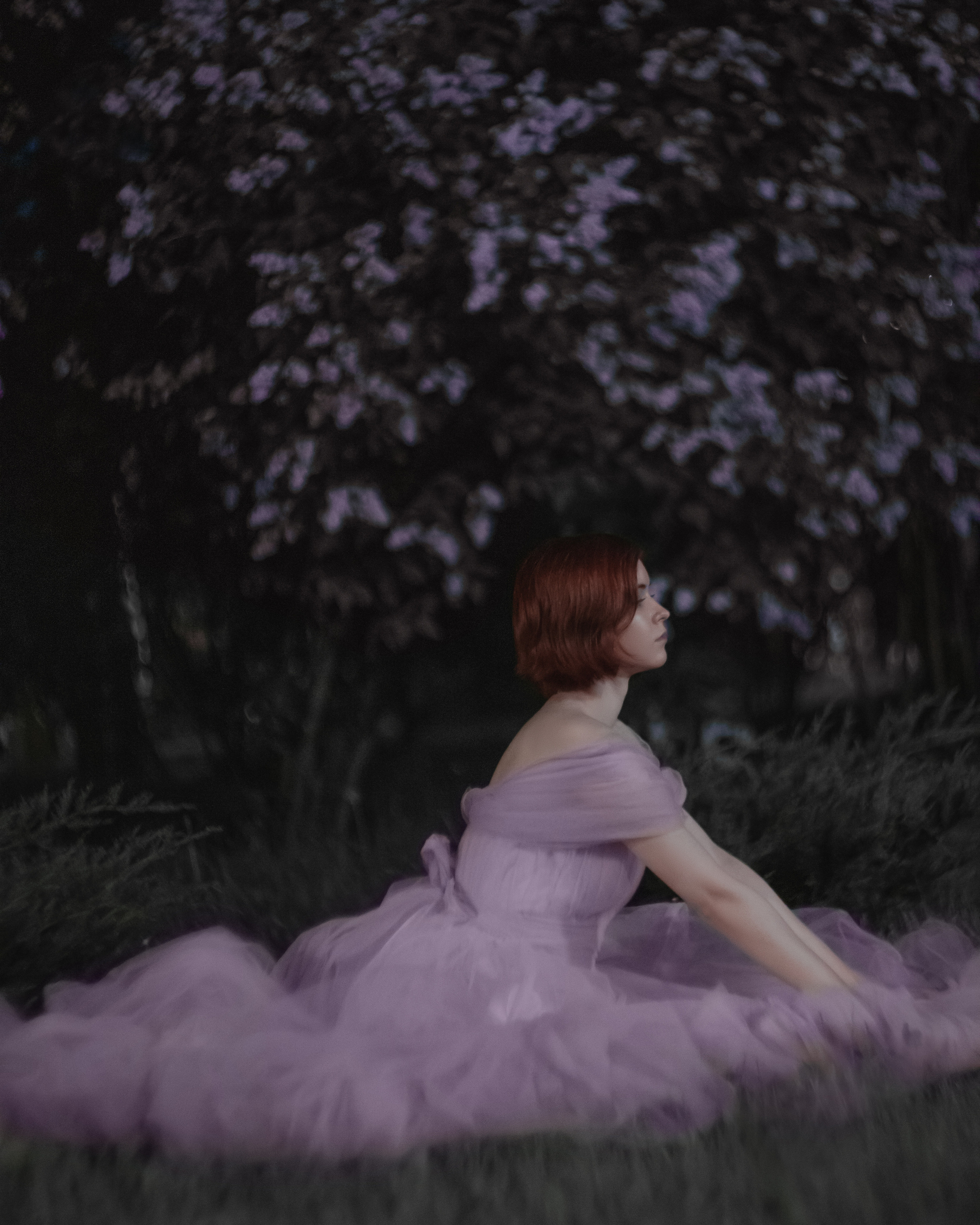 Ночная в сирени