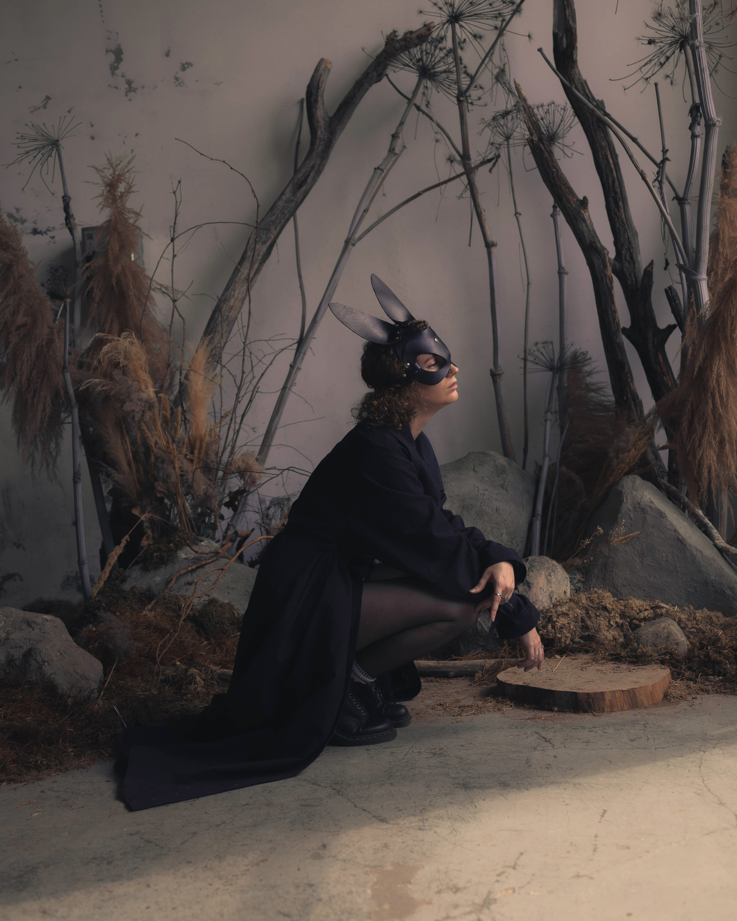 Rabbit in the Wonderland