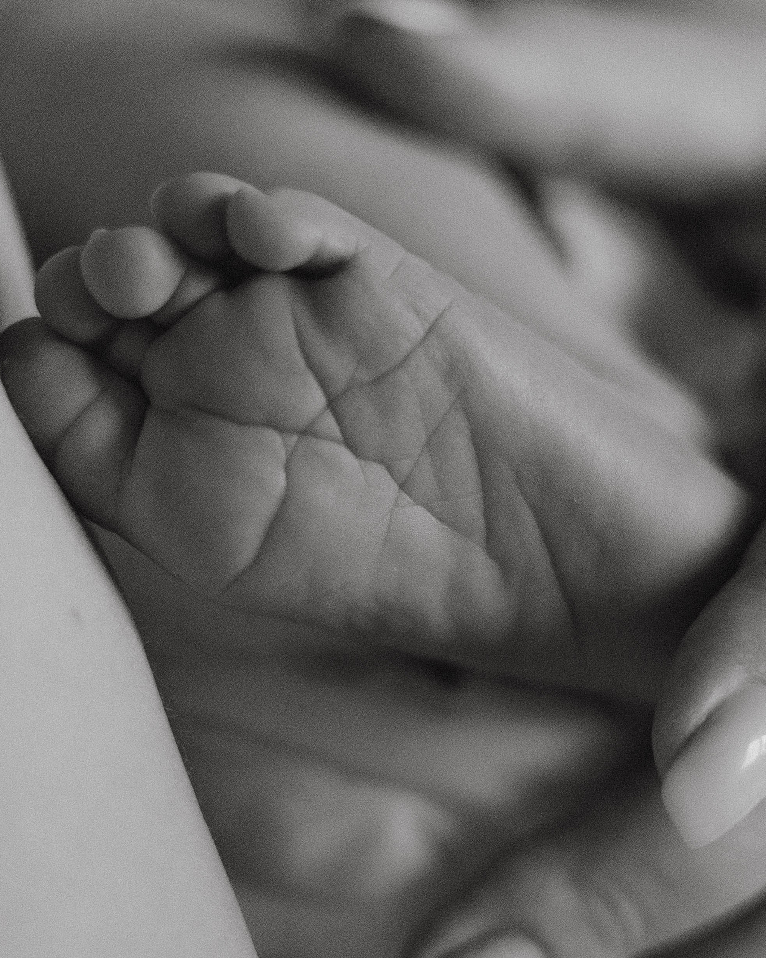 Крошка Михаил