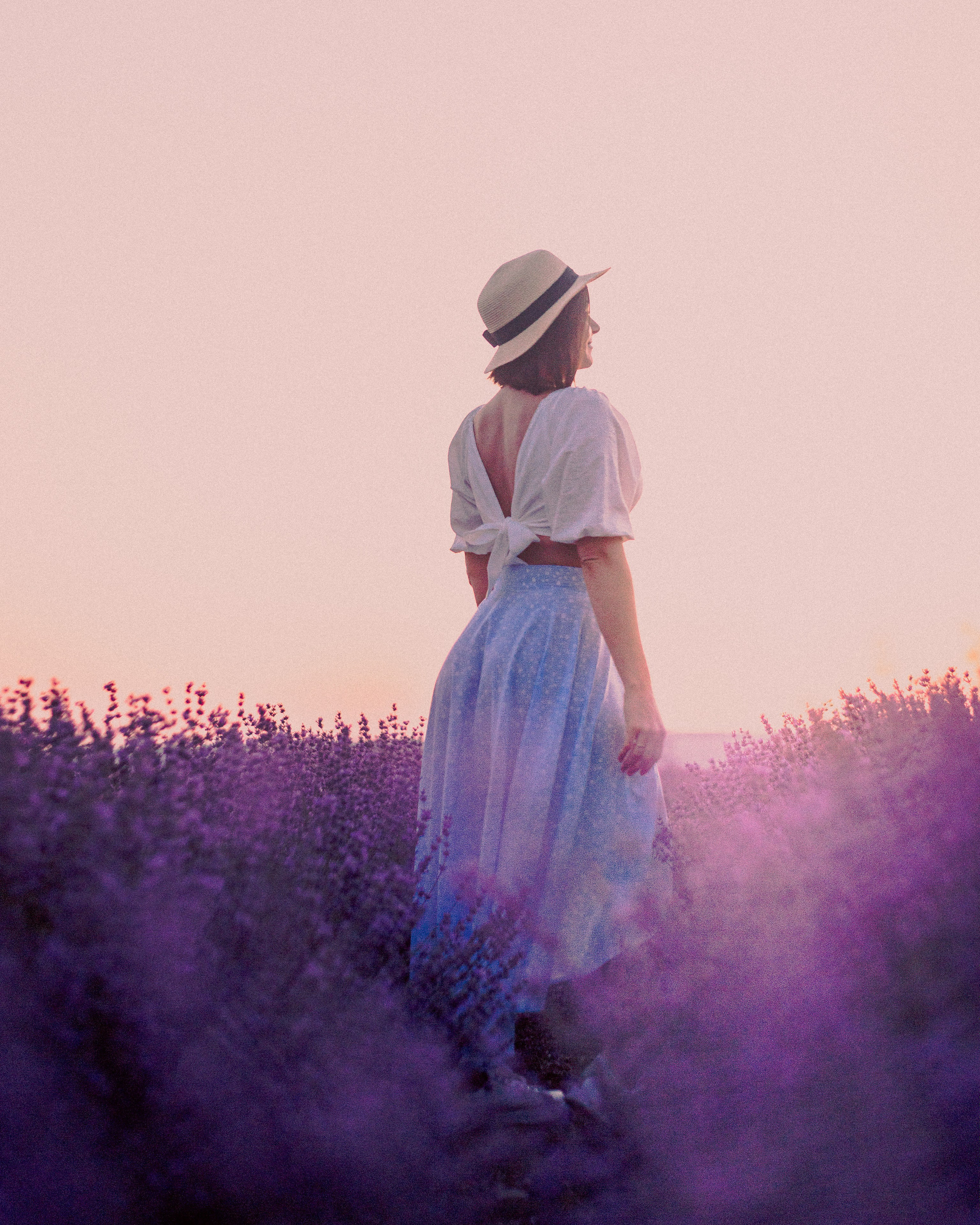 Поле лаванды на рассвете