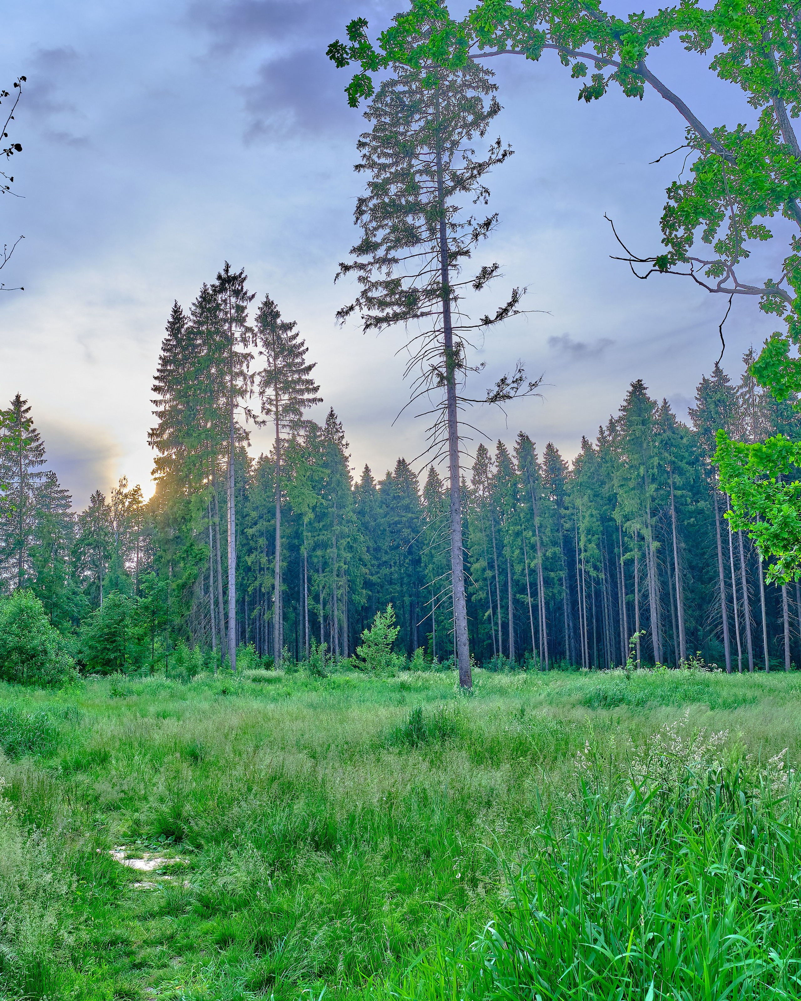Стрит, пейзаж, разное