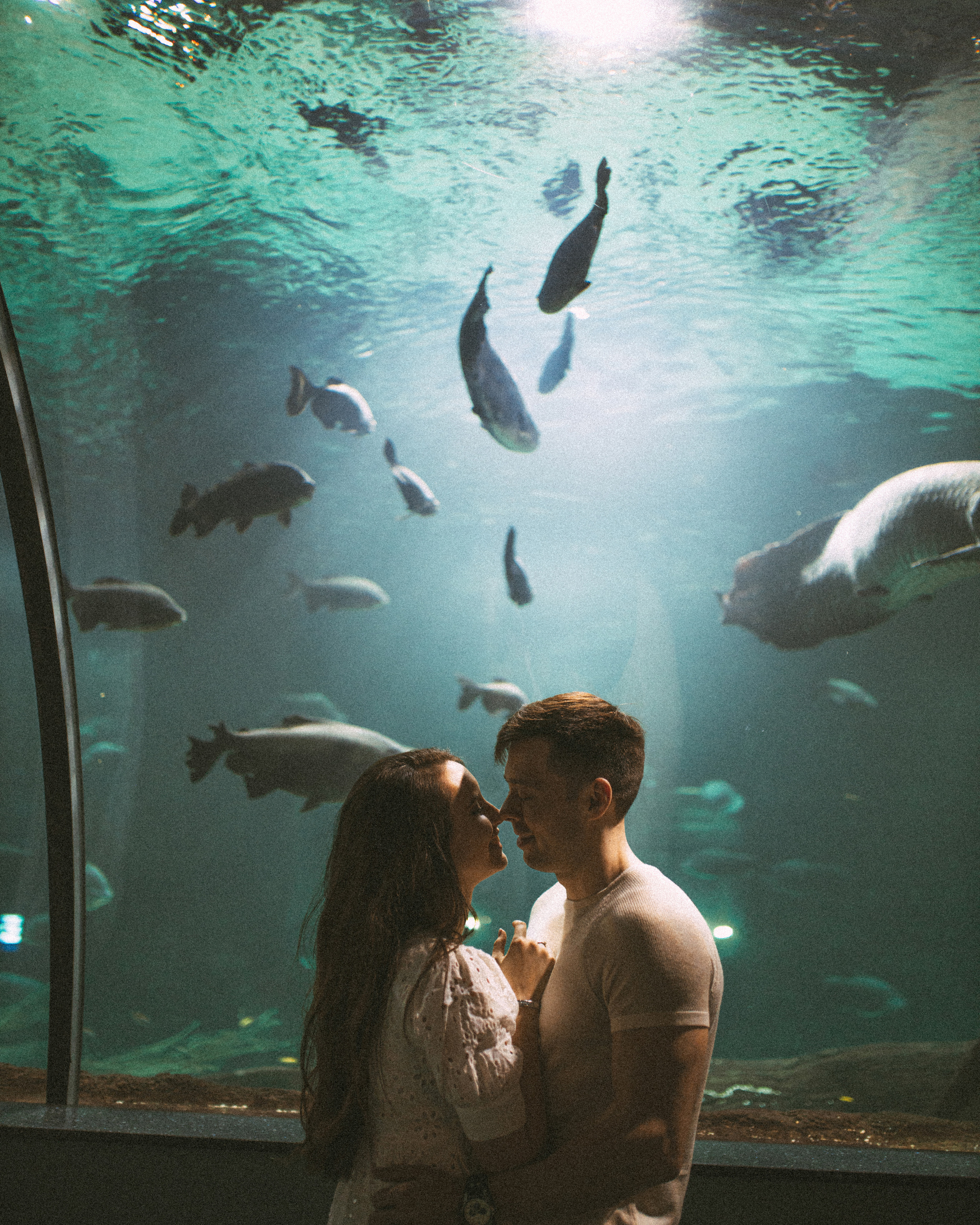 P & C | Москва