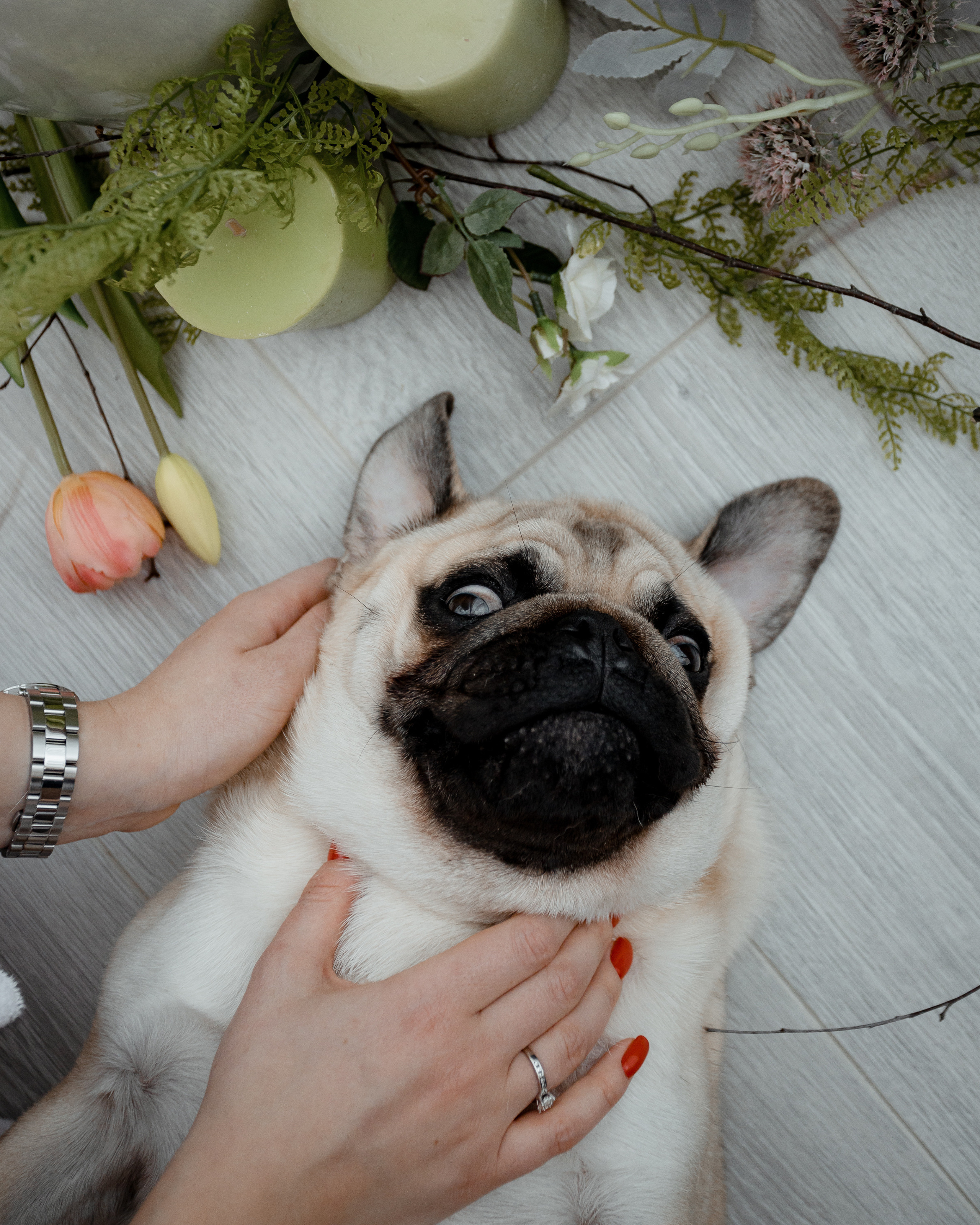 Love Story Изгиб