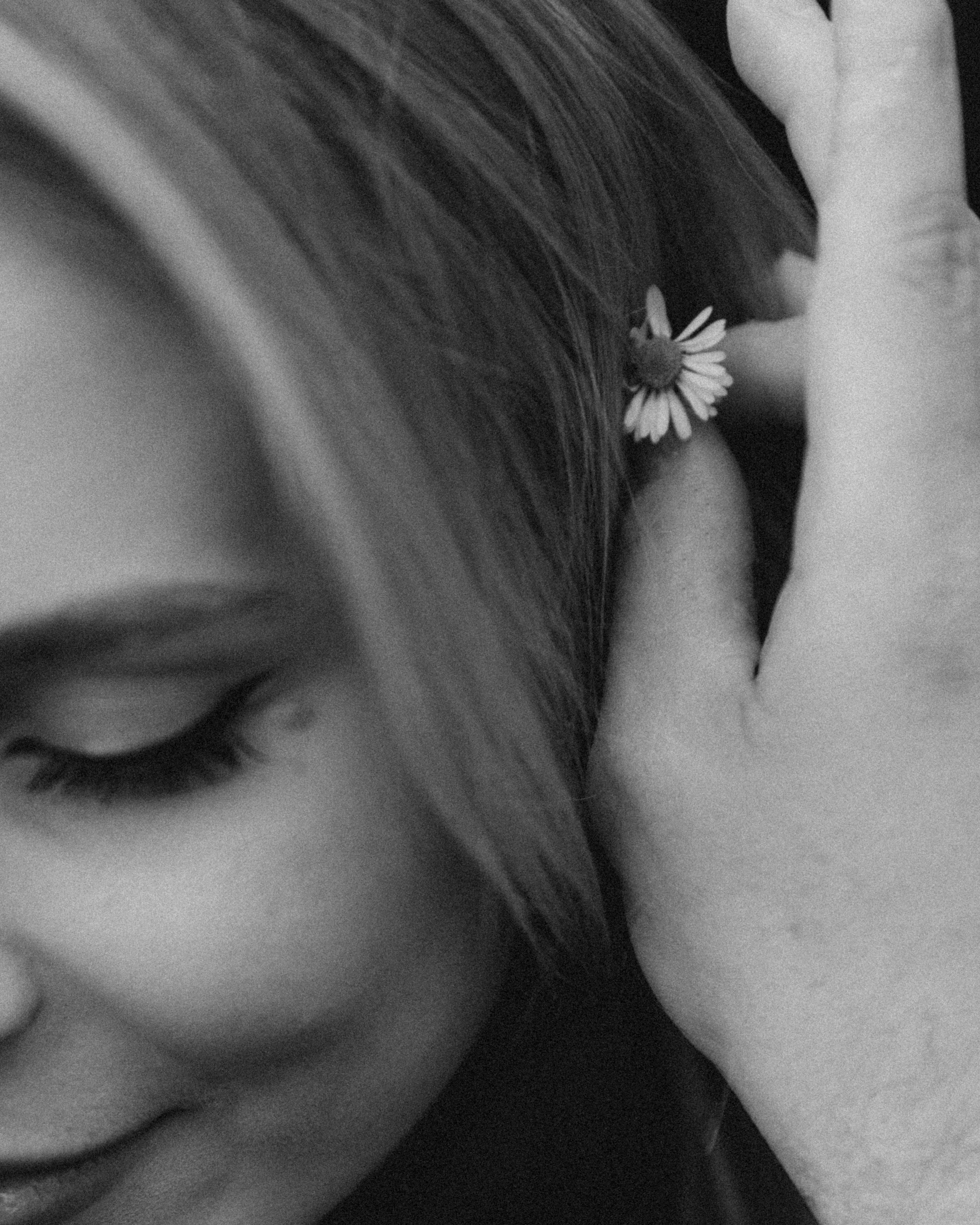 Секретный сад