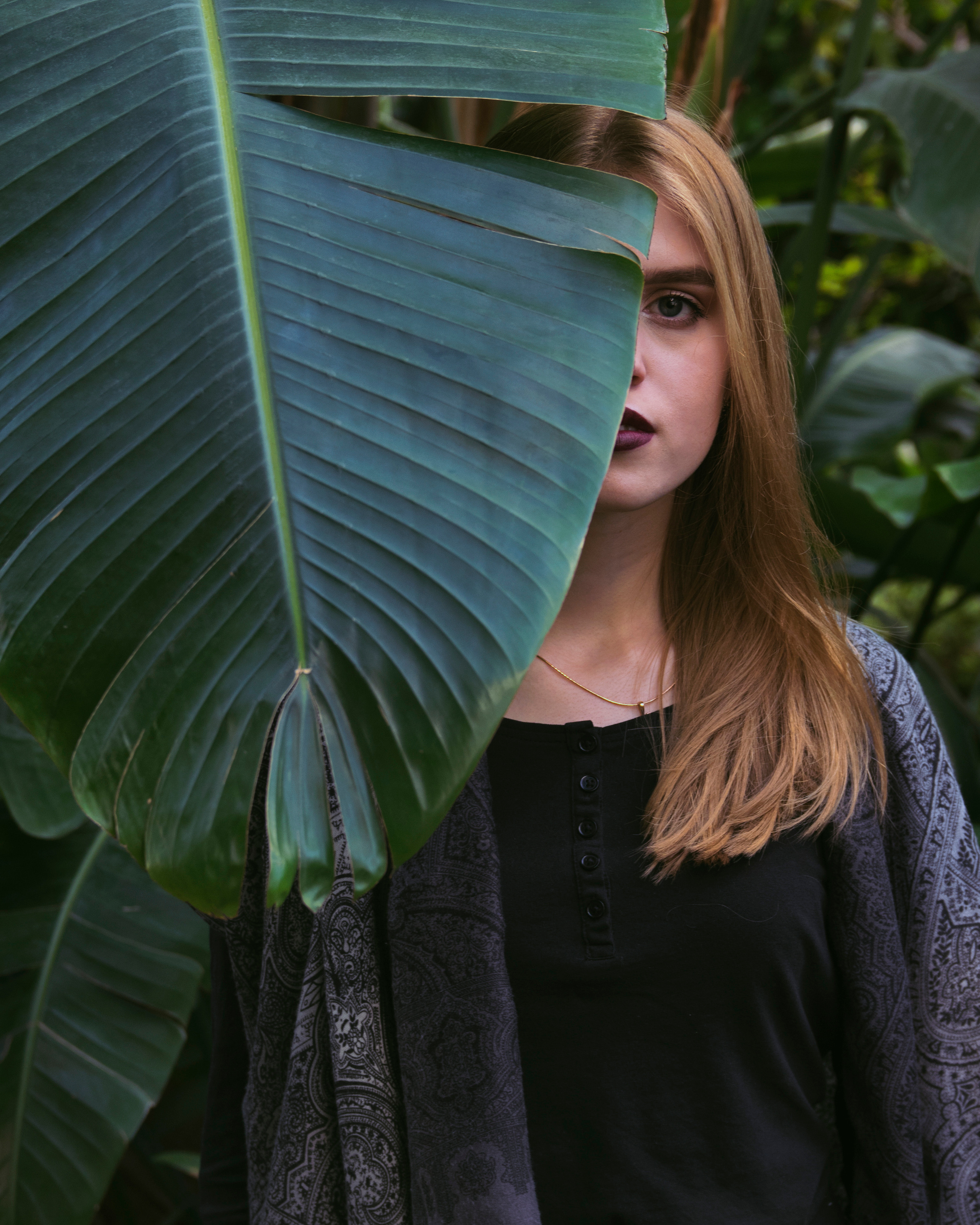 Behind the curtain of nature