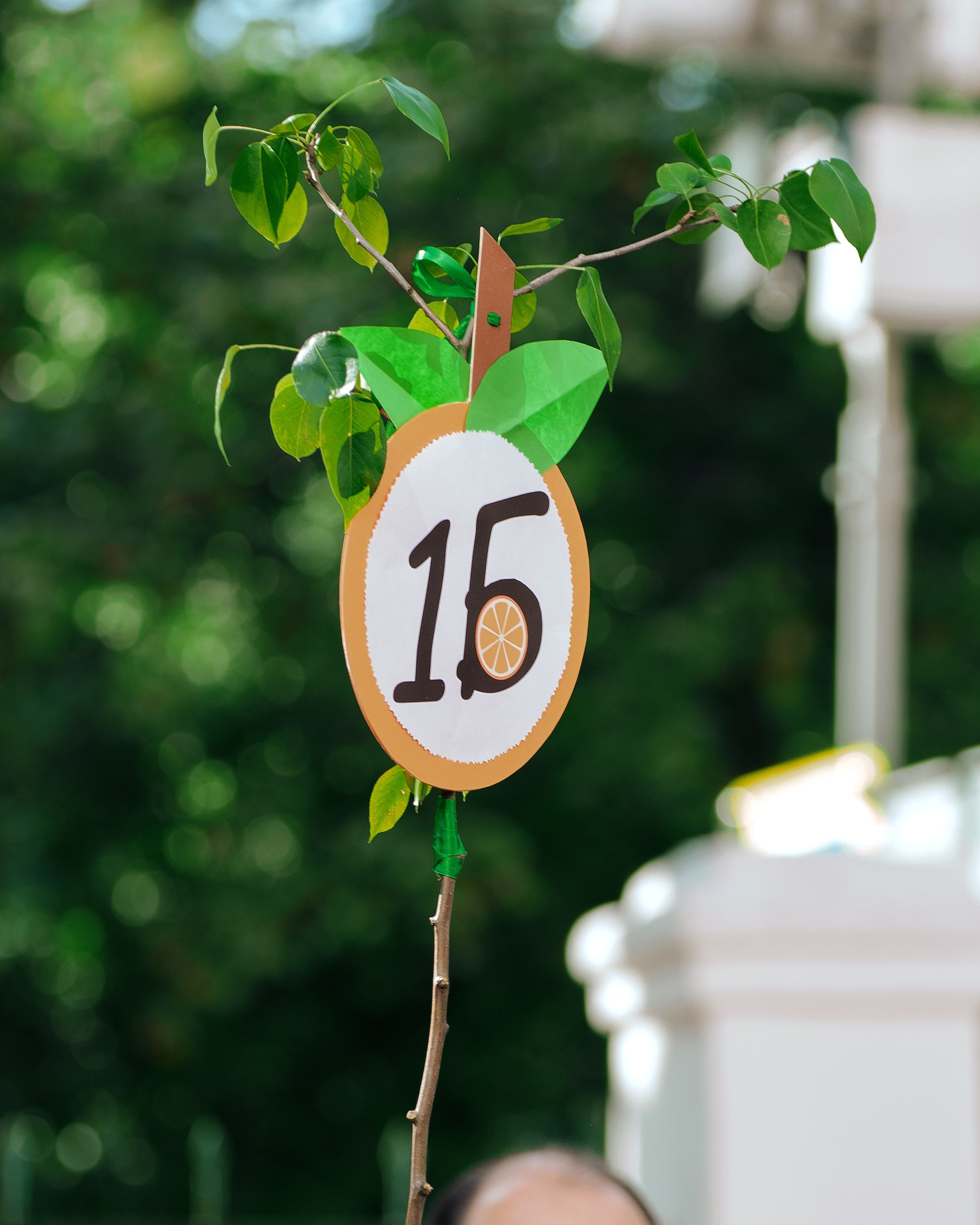 Фотосъемка «Первый звонок» для 1-го класса