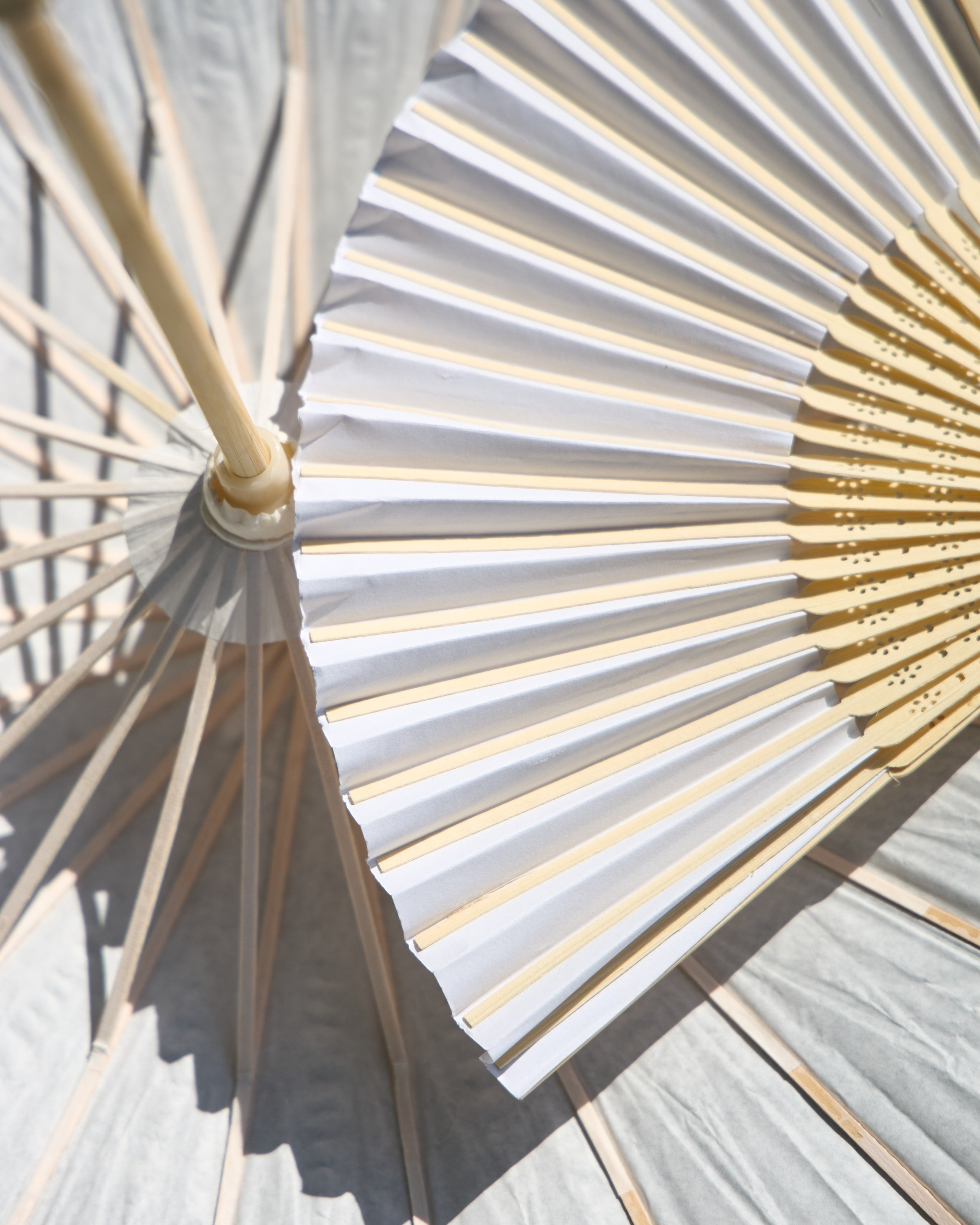 Wedding day | Вячеслав и Карелия