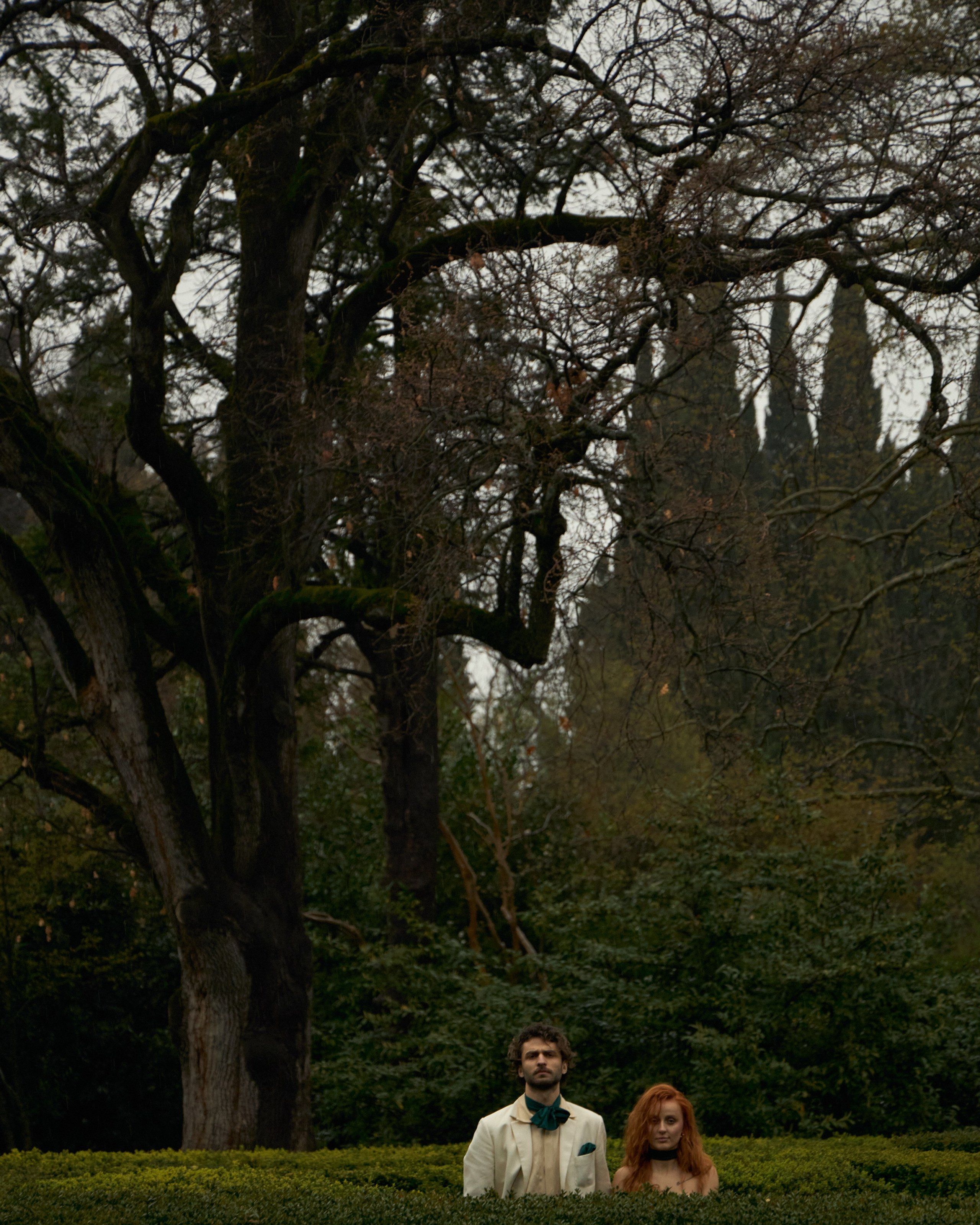 Давид и Милита