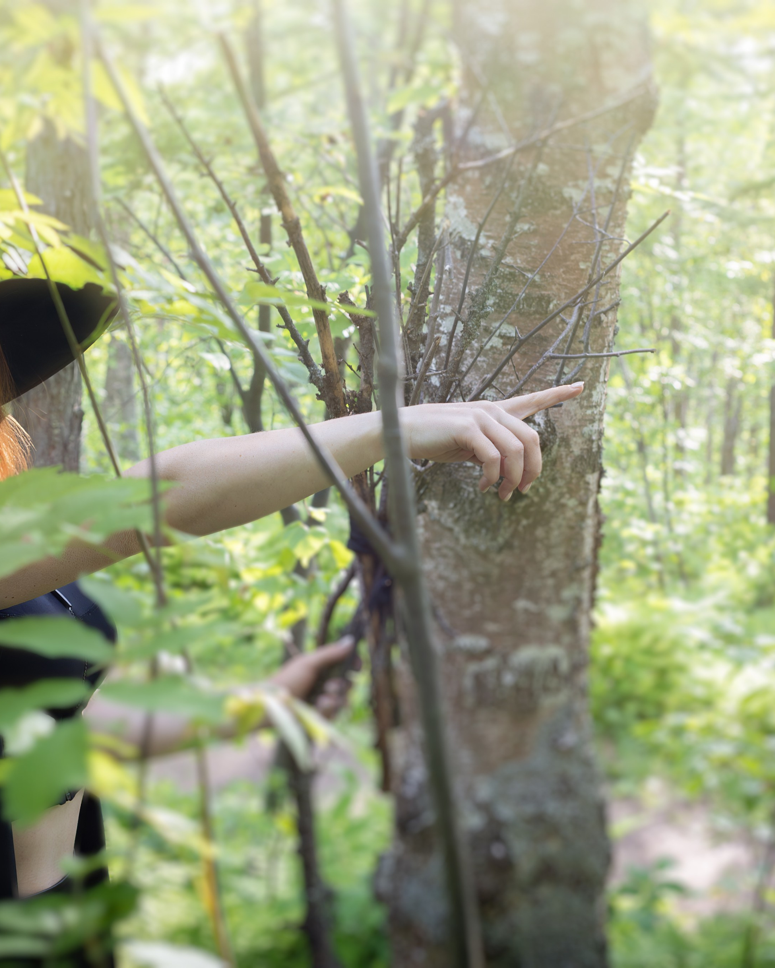 Ведьмин лес. История Анастасии