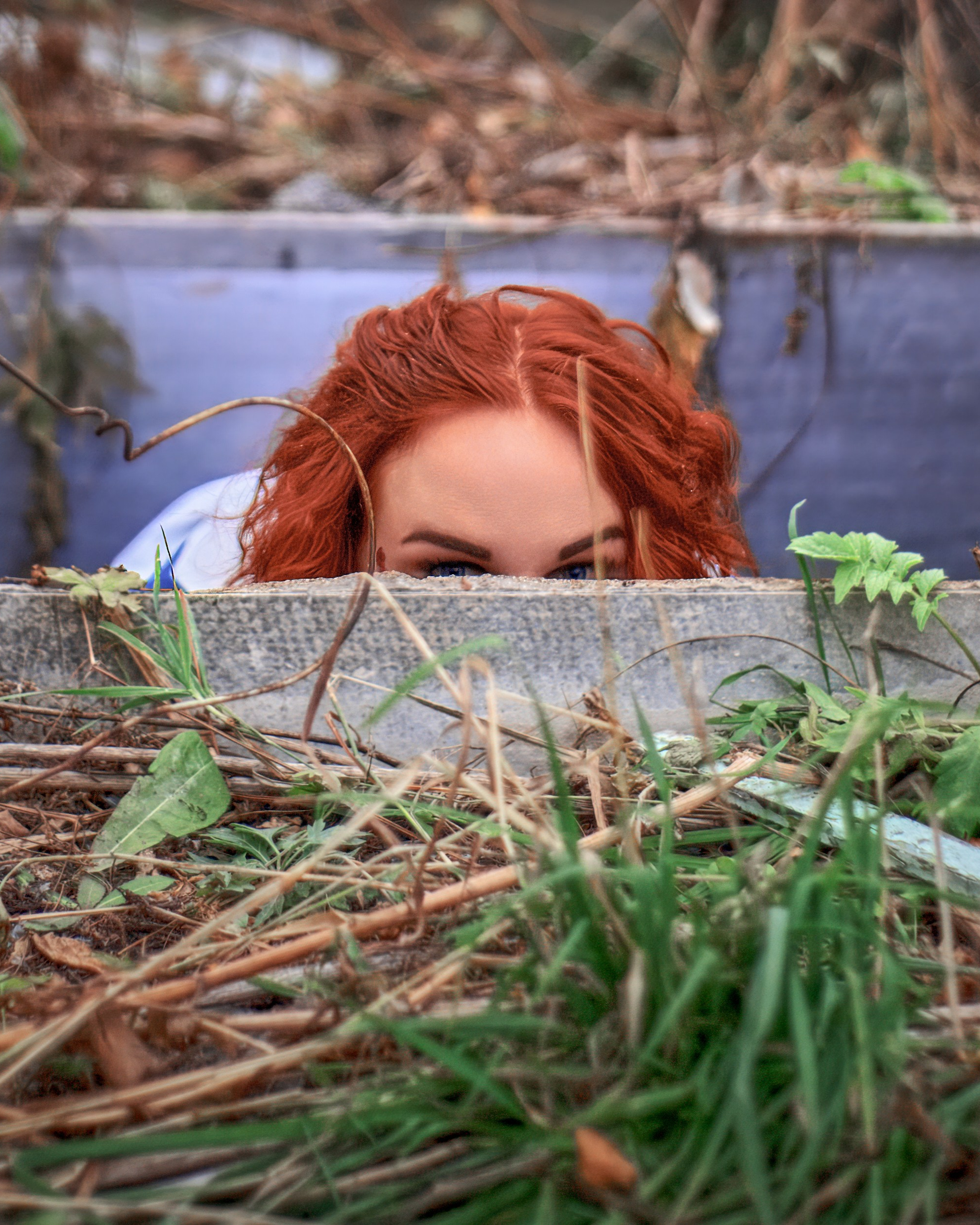 Алиса. Наше время.