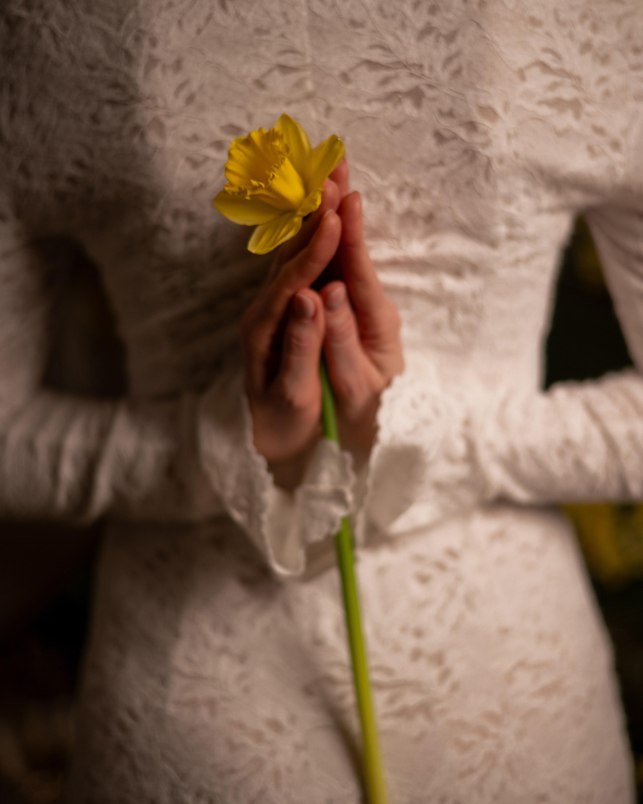 Фотопроект «Нарциссы»