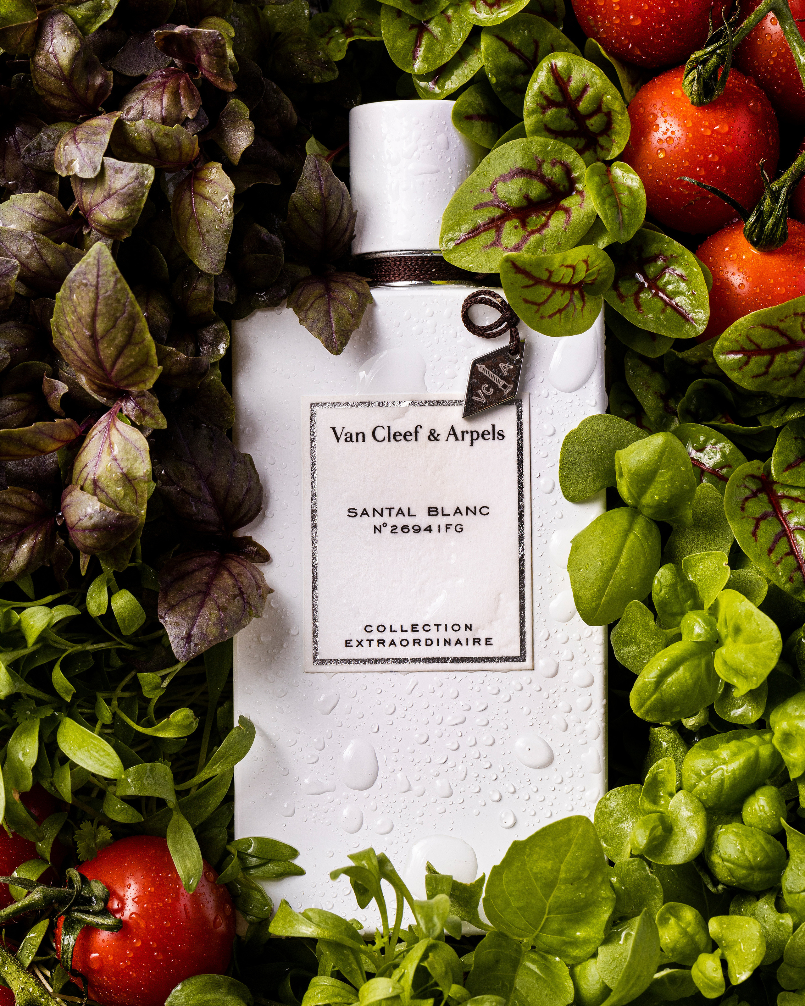 Van Cleef Santal